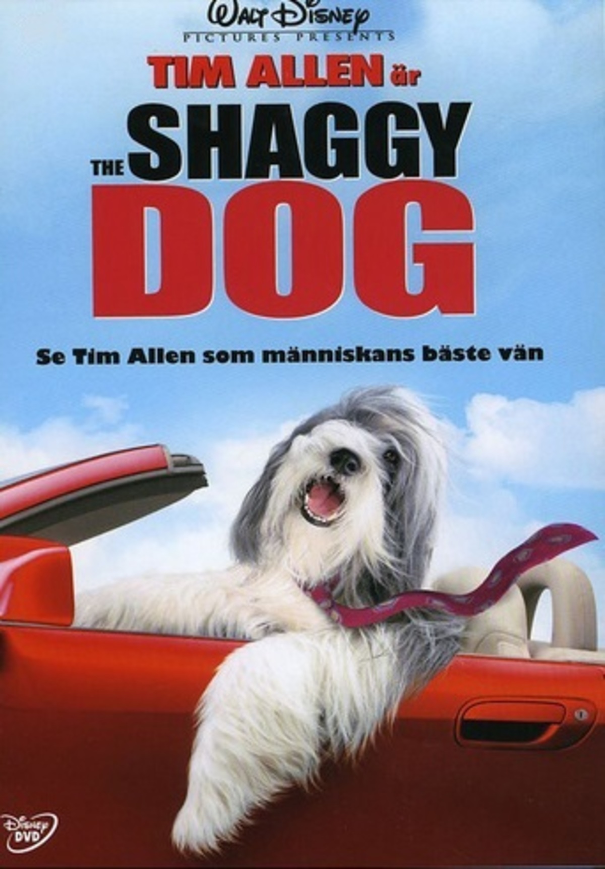 large_2feeece1cbb91dd08ca1b5b3bfdc6f07-shaggy_dog.jpg