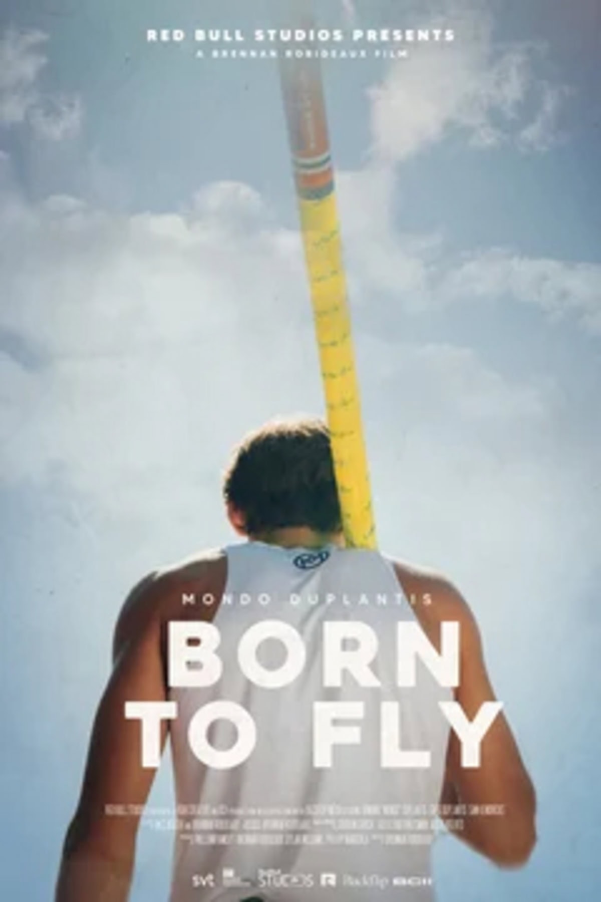 large_335603e00e372571c432cf1db4497a68-born_20to_20fly_20SWE.jpg