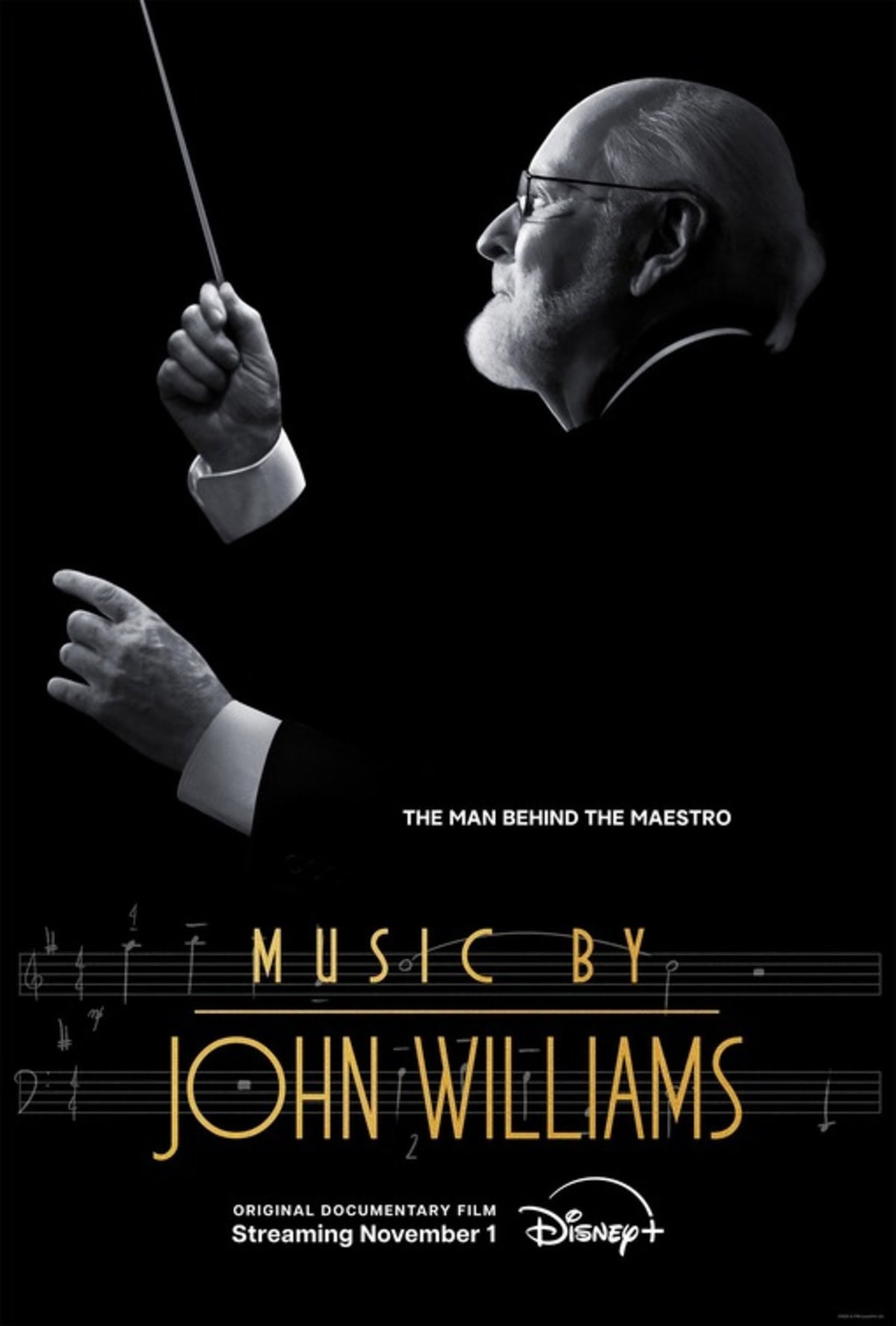 large_34e4335cc966de543b8296fac73c3b2a-music_by_john_williams.jpg