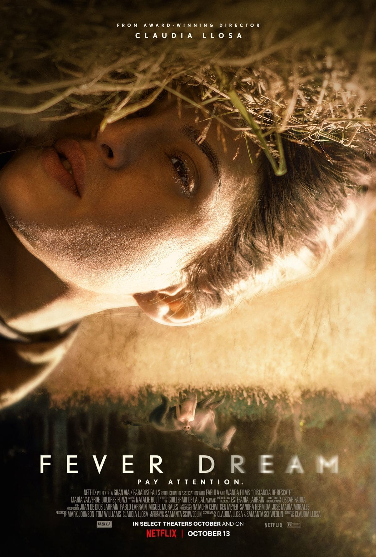 large_356719dc02353bdfd2f4e359f7b6d896-fever_20dream.jpg