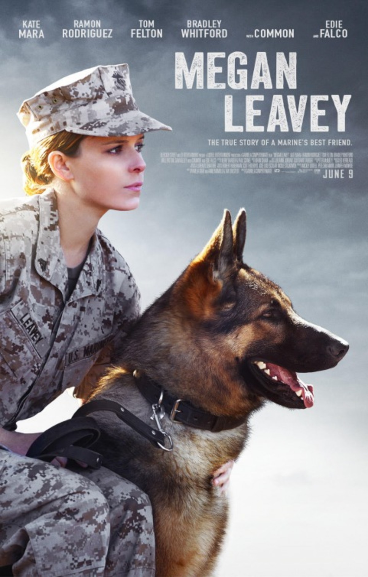 large_3754f49c2432ffaaf8a369a4cd287a5f-megan_leavey_ver2.jpg
