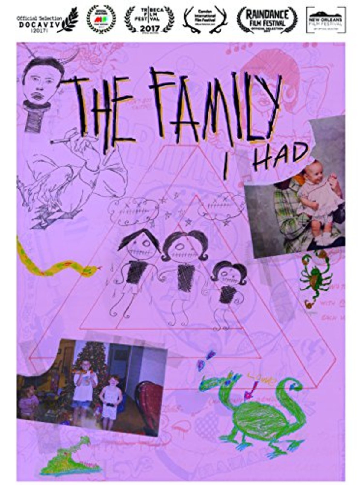 large_39029a5255f4294a6fe36c3a8c16aa22-the_family_i_had_poster.jpg