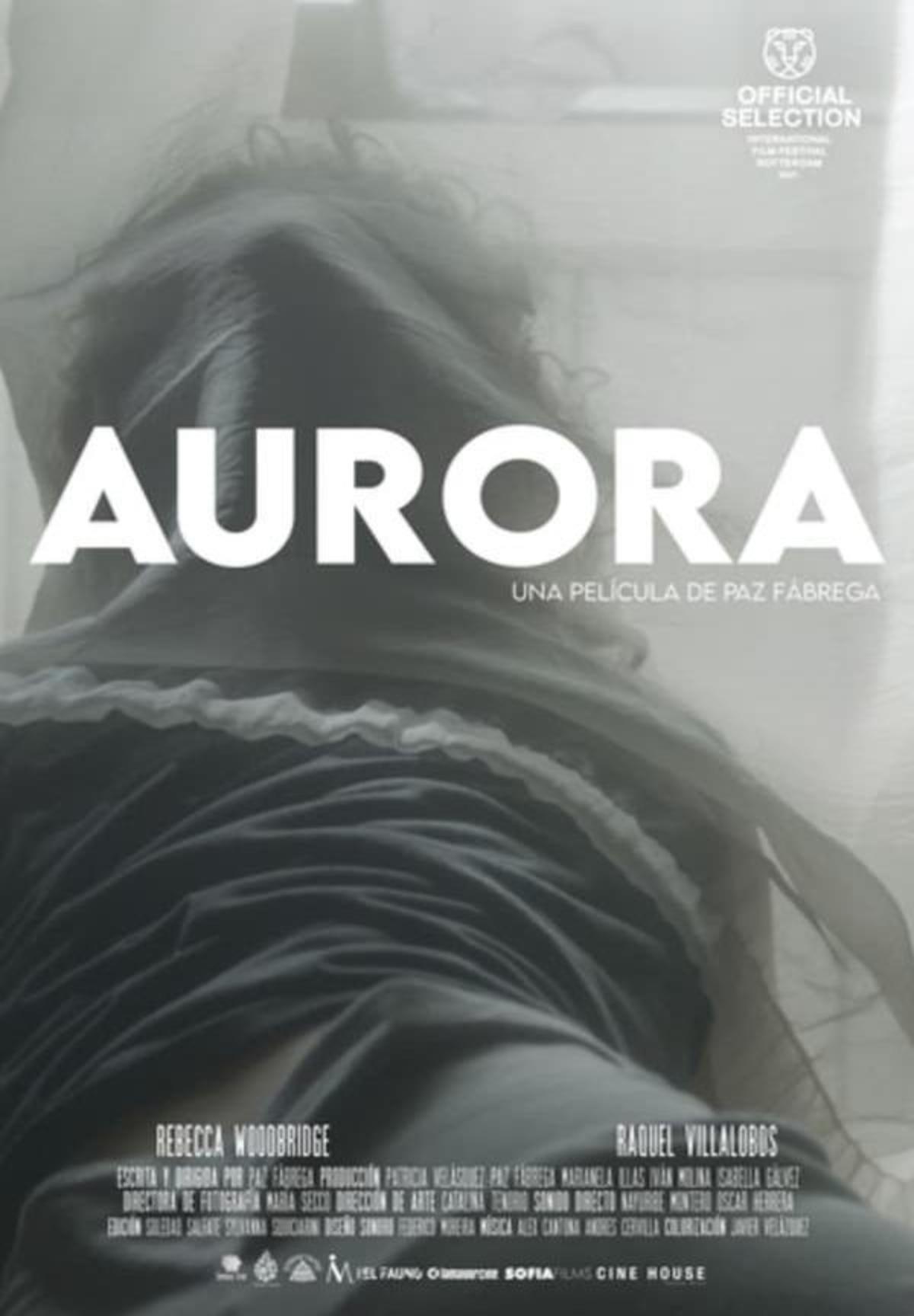 large_3c3d73b5818e761d3d90c96c01591c6b-aurora.jpg