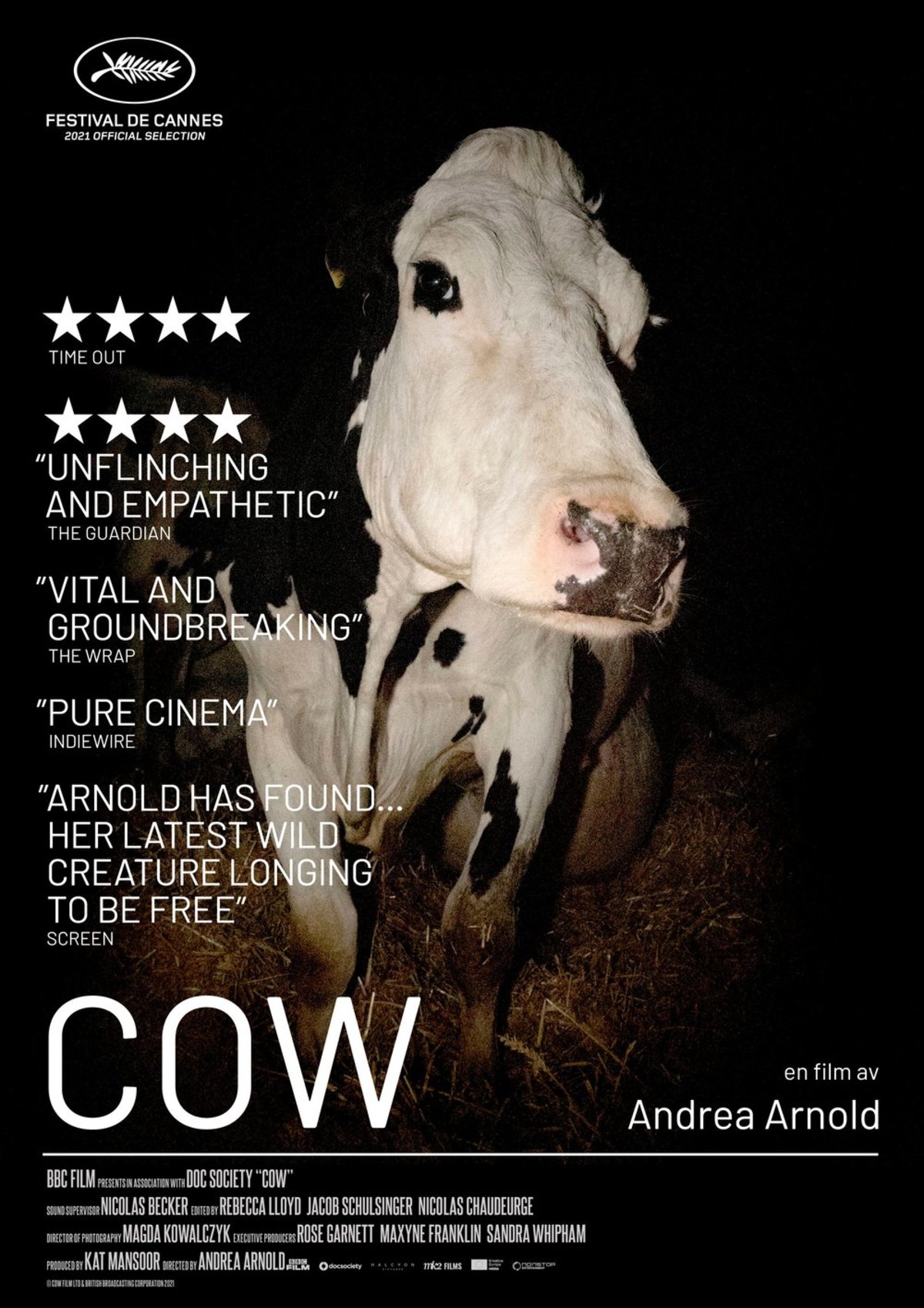 large_3c630ea898e9fa138735ae02676a8a95-cow_A4.jpg