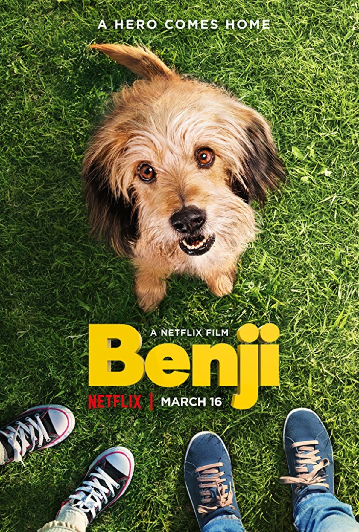 large_3cfdcc3d3ba2b8a4c87763af2956c9e0-benji.jpg