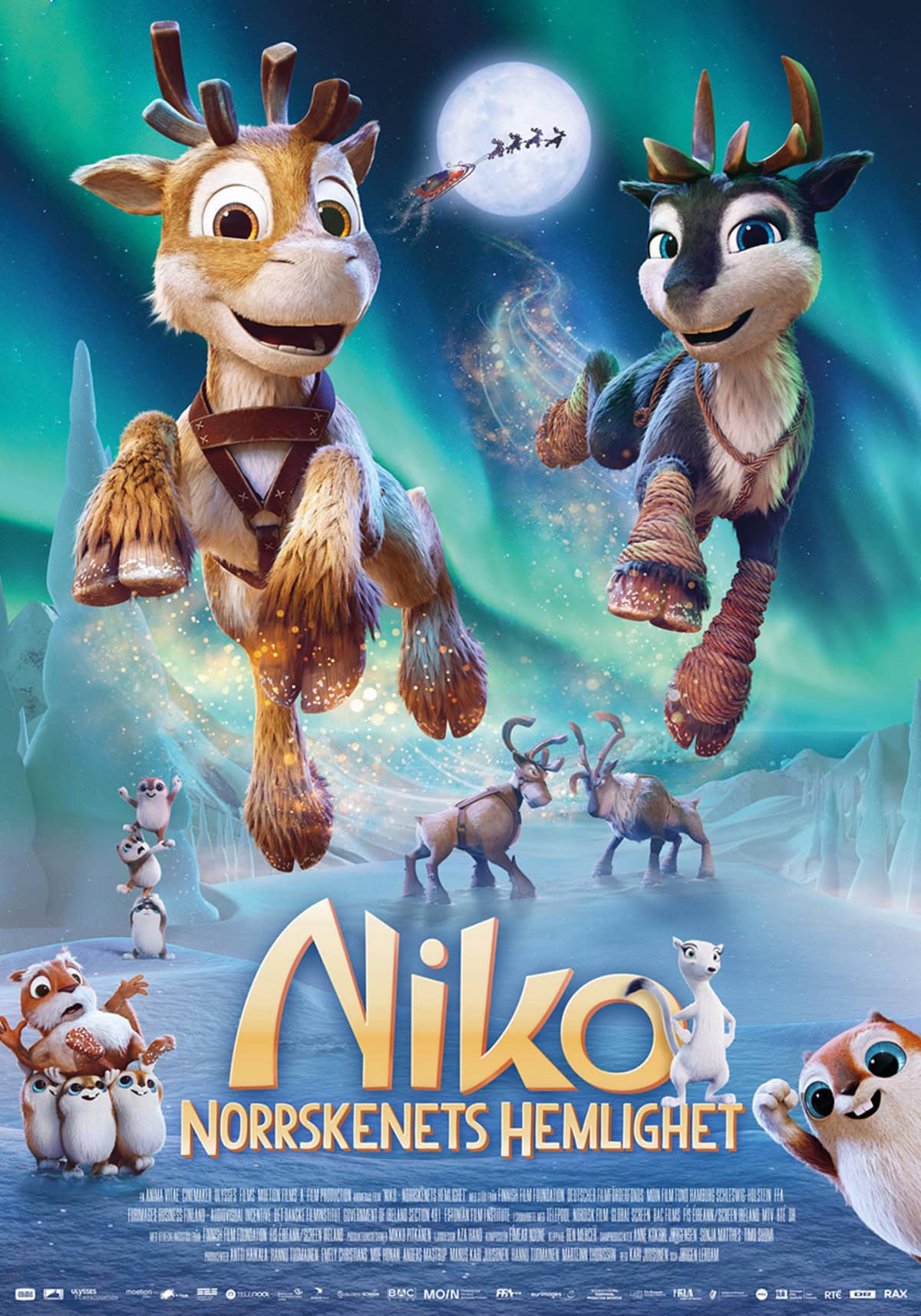 large_46c46c72d617305518dd7c7990e571be-niko_203.jpg