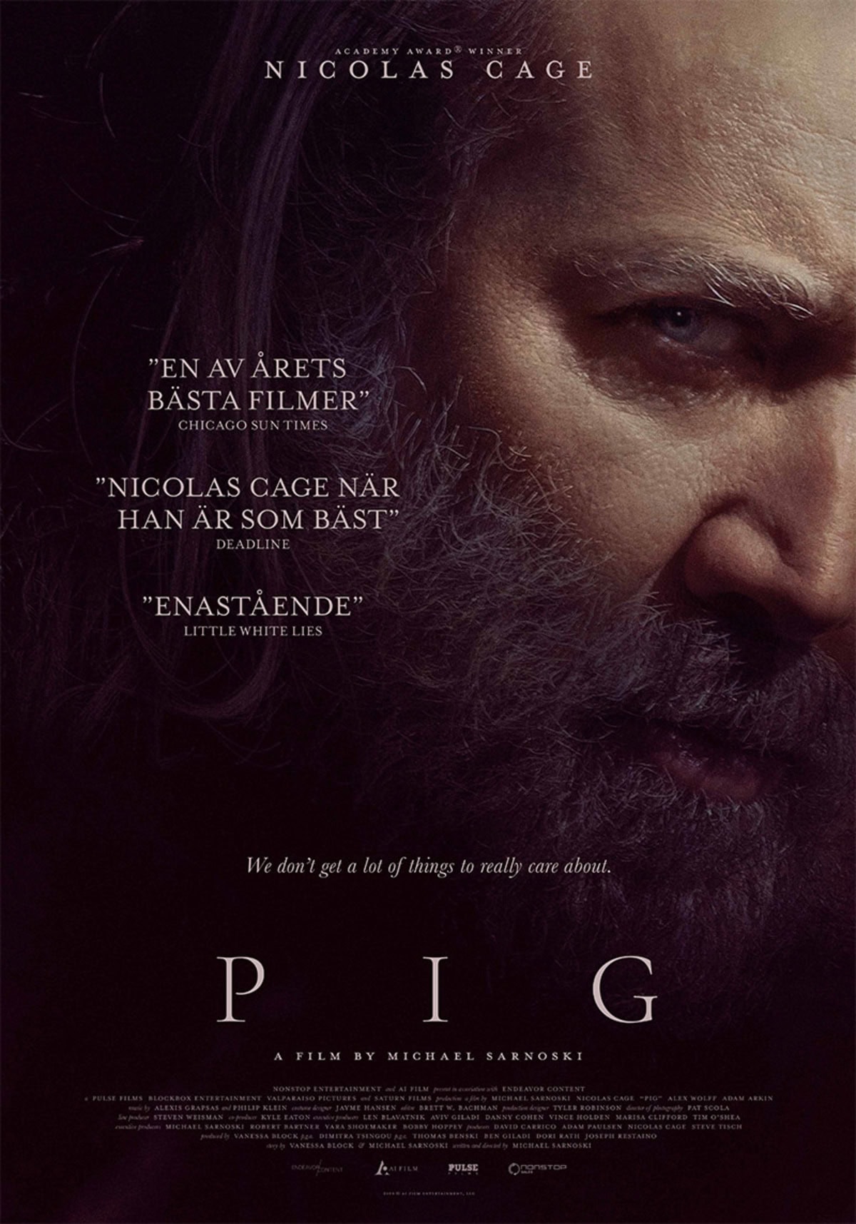 large_46e2f3764d7af5899c6704270b4d0c4c-pig.jpg