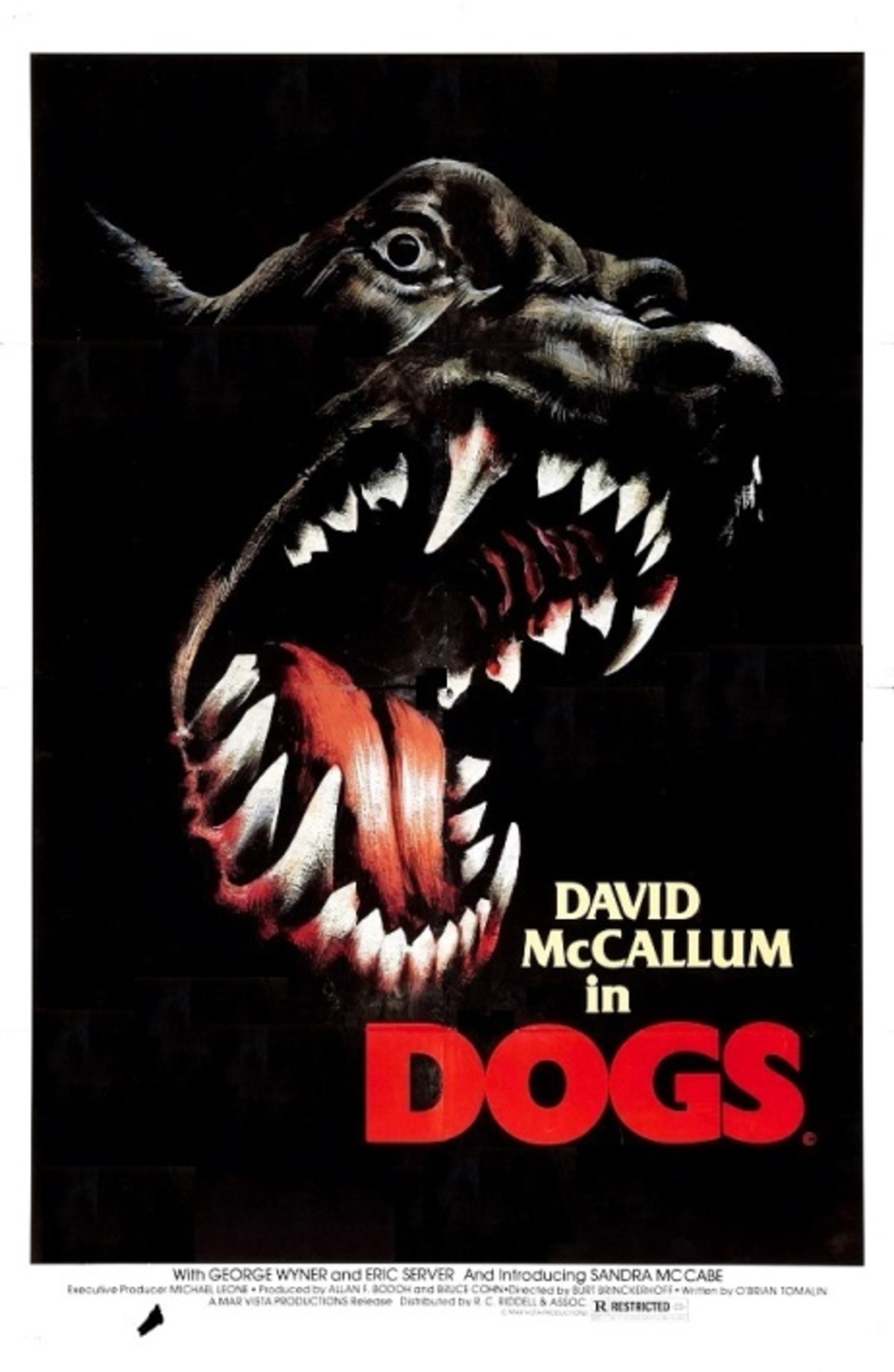 large_48d10b628d9757396a7f96cadbe11921-Dogs.jpg