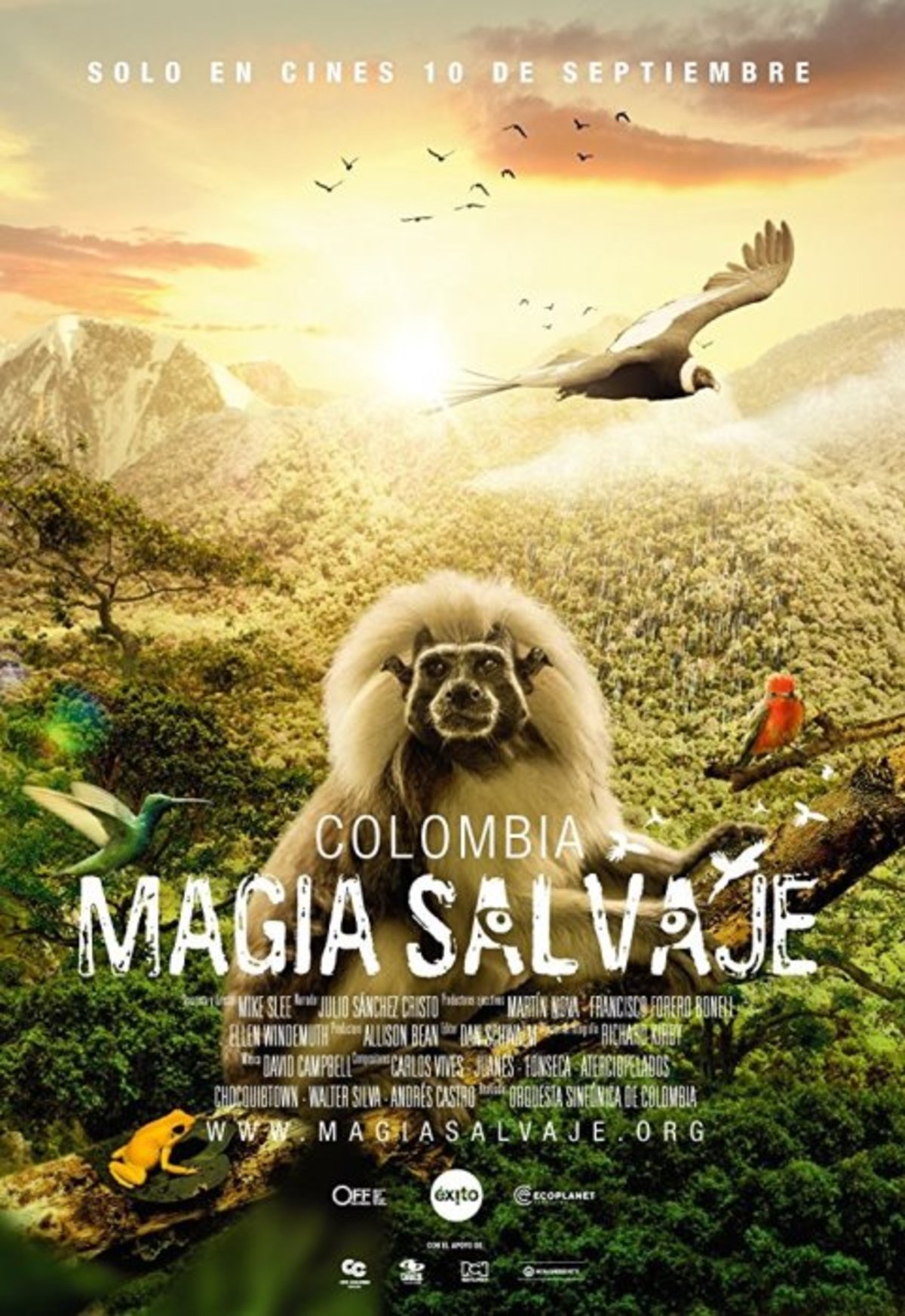 large_4966e105de1cb2bc478d8c050de162b7-Colombia_20magia_20salvaje.jpg
