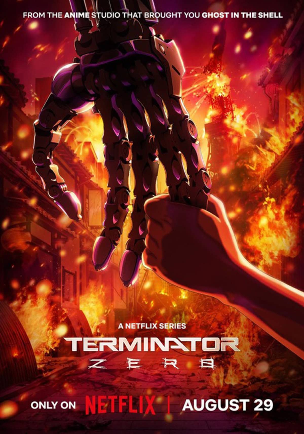 large_4c21f2bcb3558da44417609c6f542755-terminator_20zero.jpg