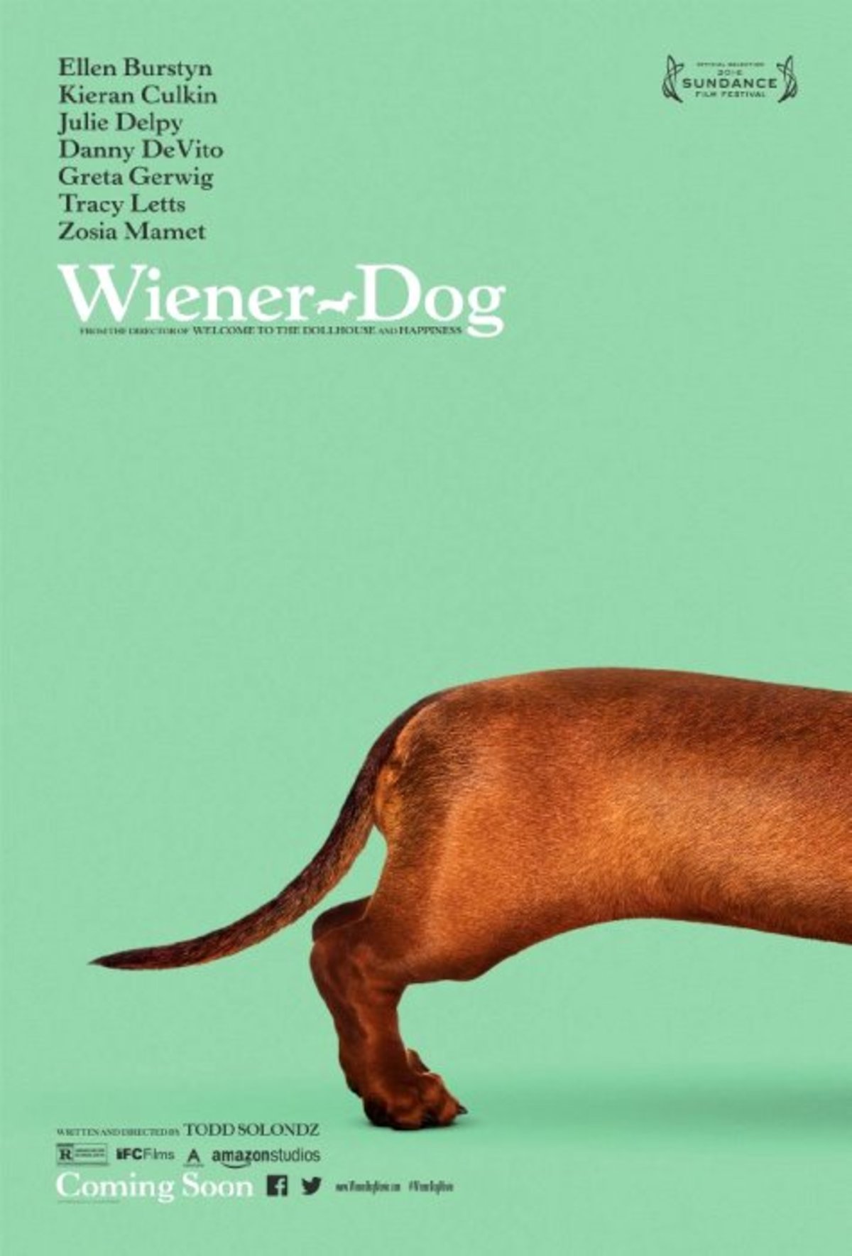 large_4d1773228024b14846b07d1bd692a910-Wiener-Dog.jpg