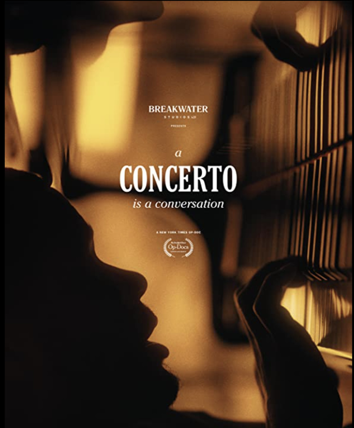 large_5088b0ed6e65fcac2f0caef750c284c4-concerto.png