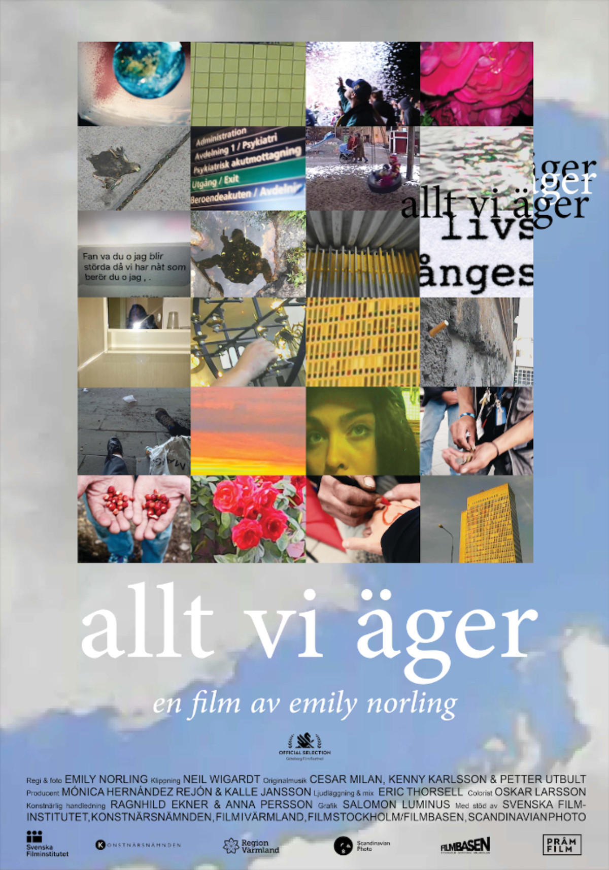 large_554278f7ae92d8f02e1a0bf47d1e0d11-alltviager.png