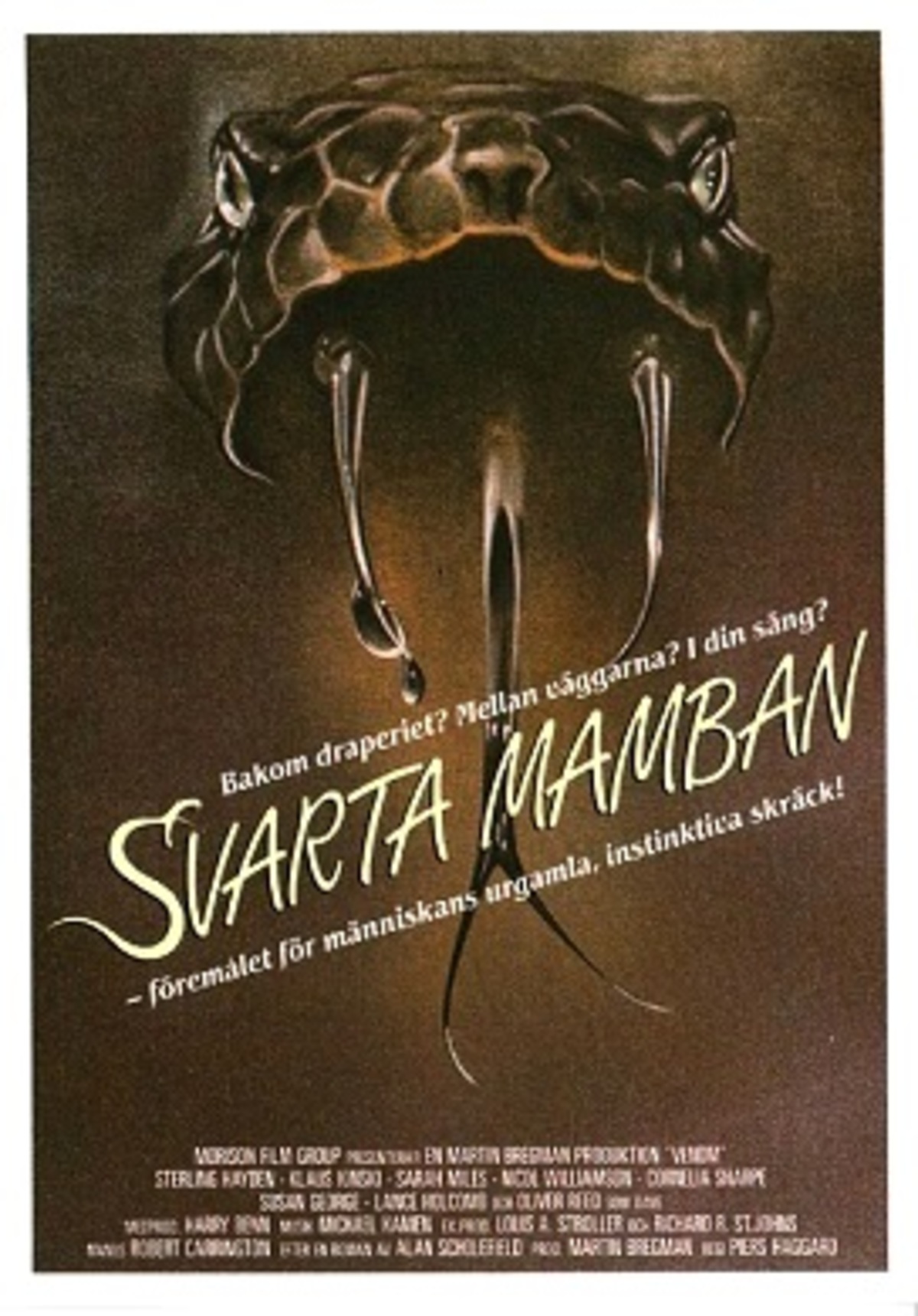 large_5552ceddf0c78e97e3aafee1f9248140-Svarta_20mamban_20vhs.jpg