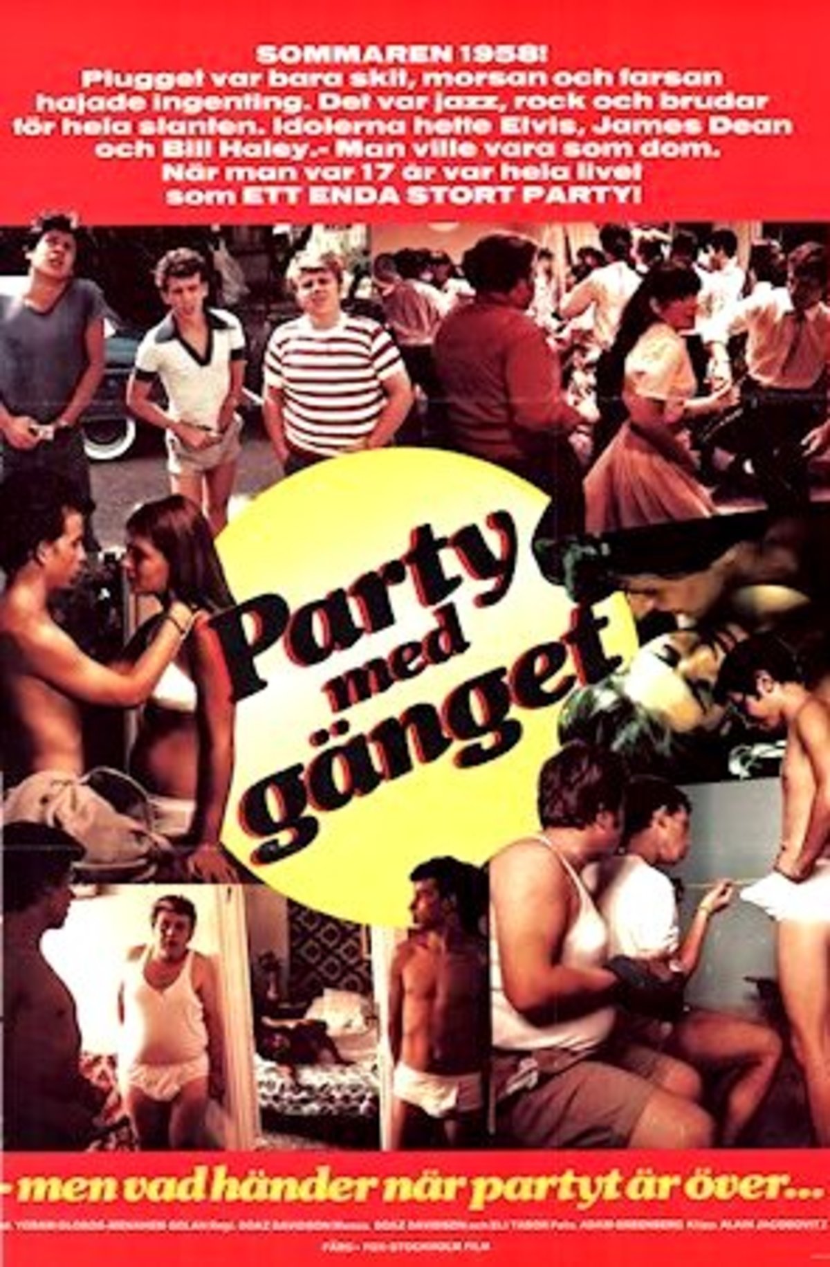 large_568e1ae42123f27e2781a3c2eeee1a2d-Party_20med_20g_C3_A4nget.jpg