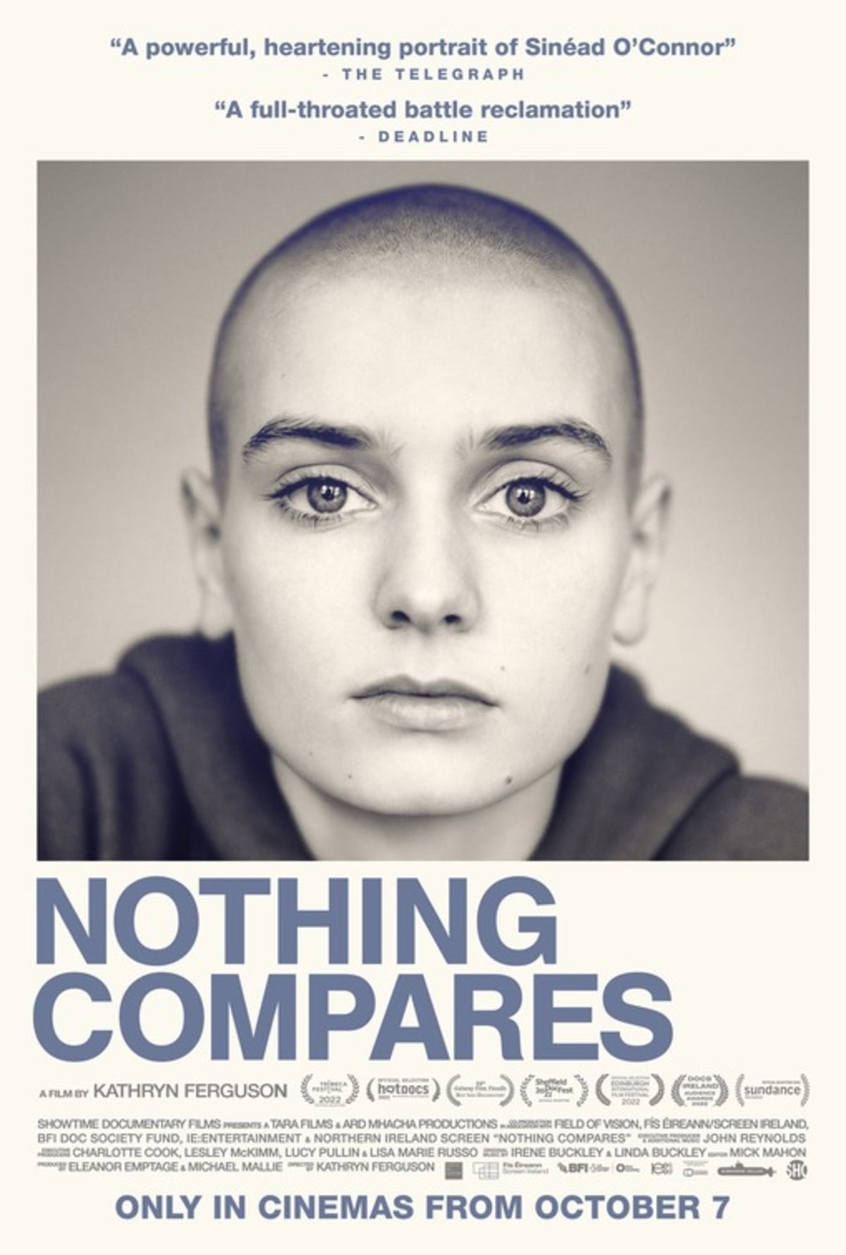 large_59b3a3cbe689a8db1c18e6018fab55f0-nothing_compares.jpg