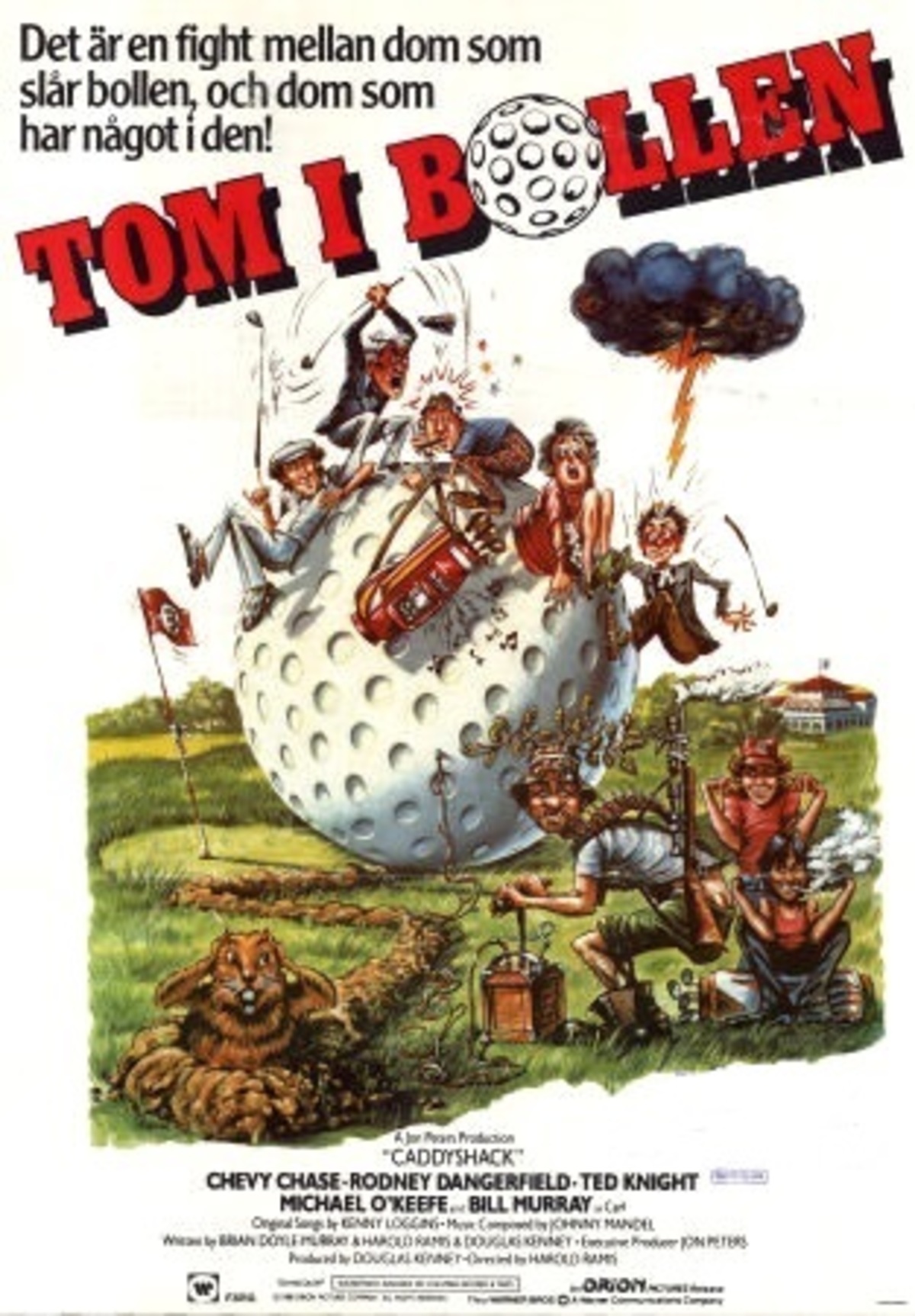 large_5bac2b1d438be8795cc5e435ba74a6e9-Tom_20i_20bollen.jpg
