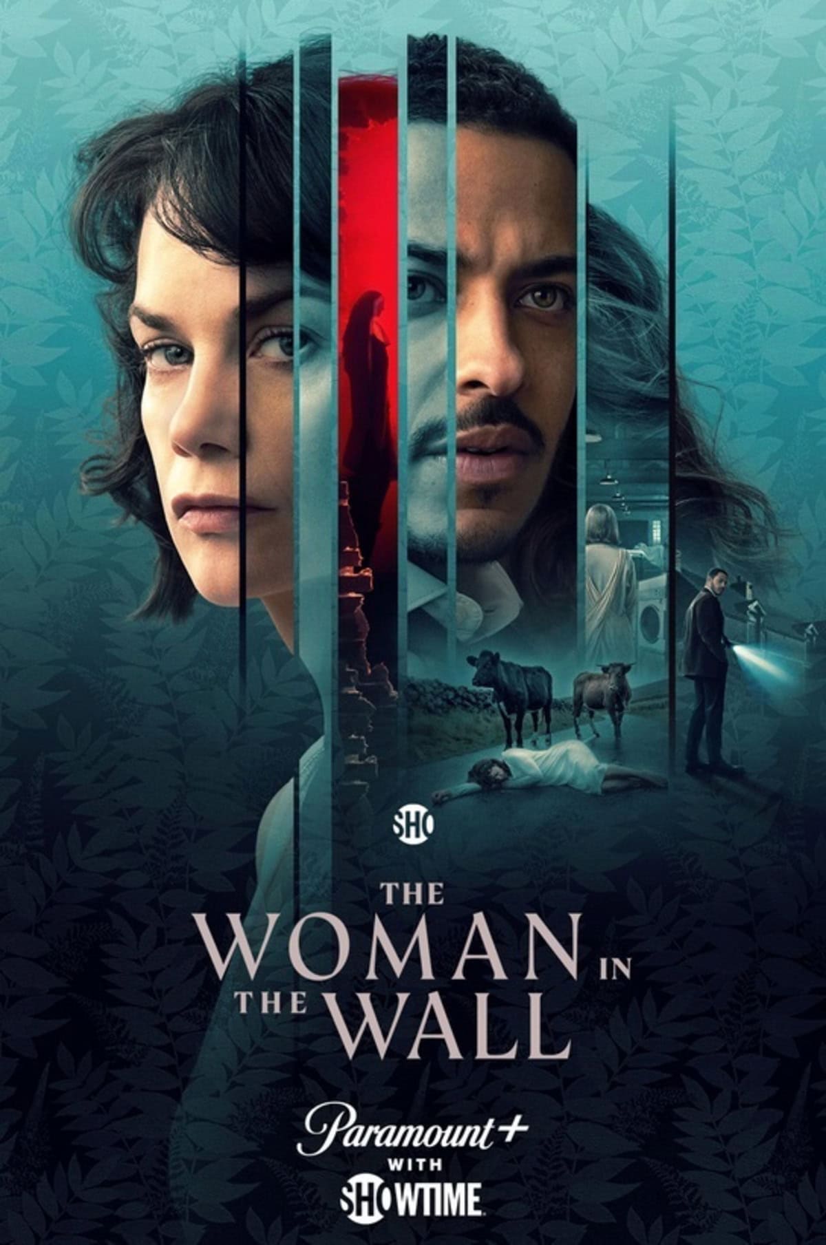 large_5c004a461938b91a70746b656b1c7233-The_20Woman_20in_20the_20Wall_20_2023.jpg