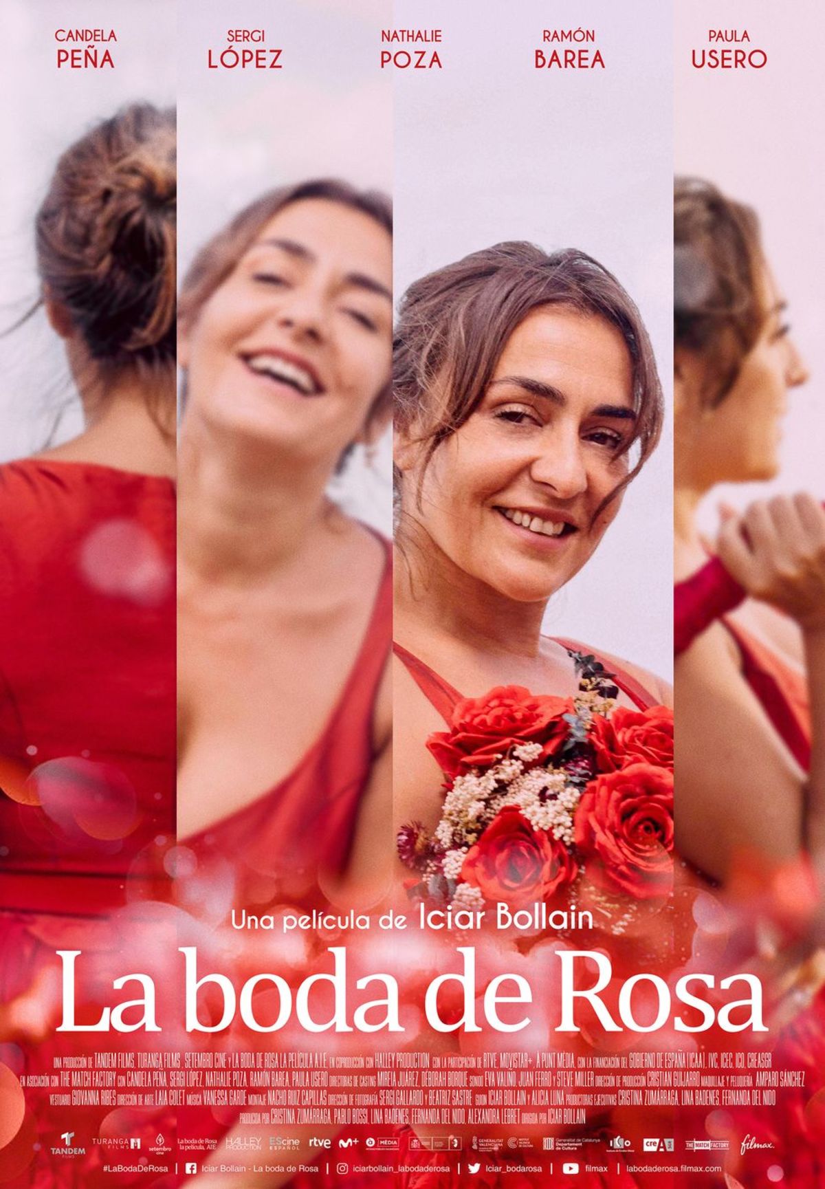 large_5fc8cfab07bff43154b29d0ee9ef8813-rosa.jpg