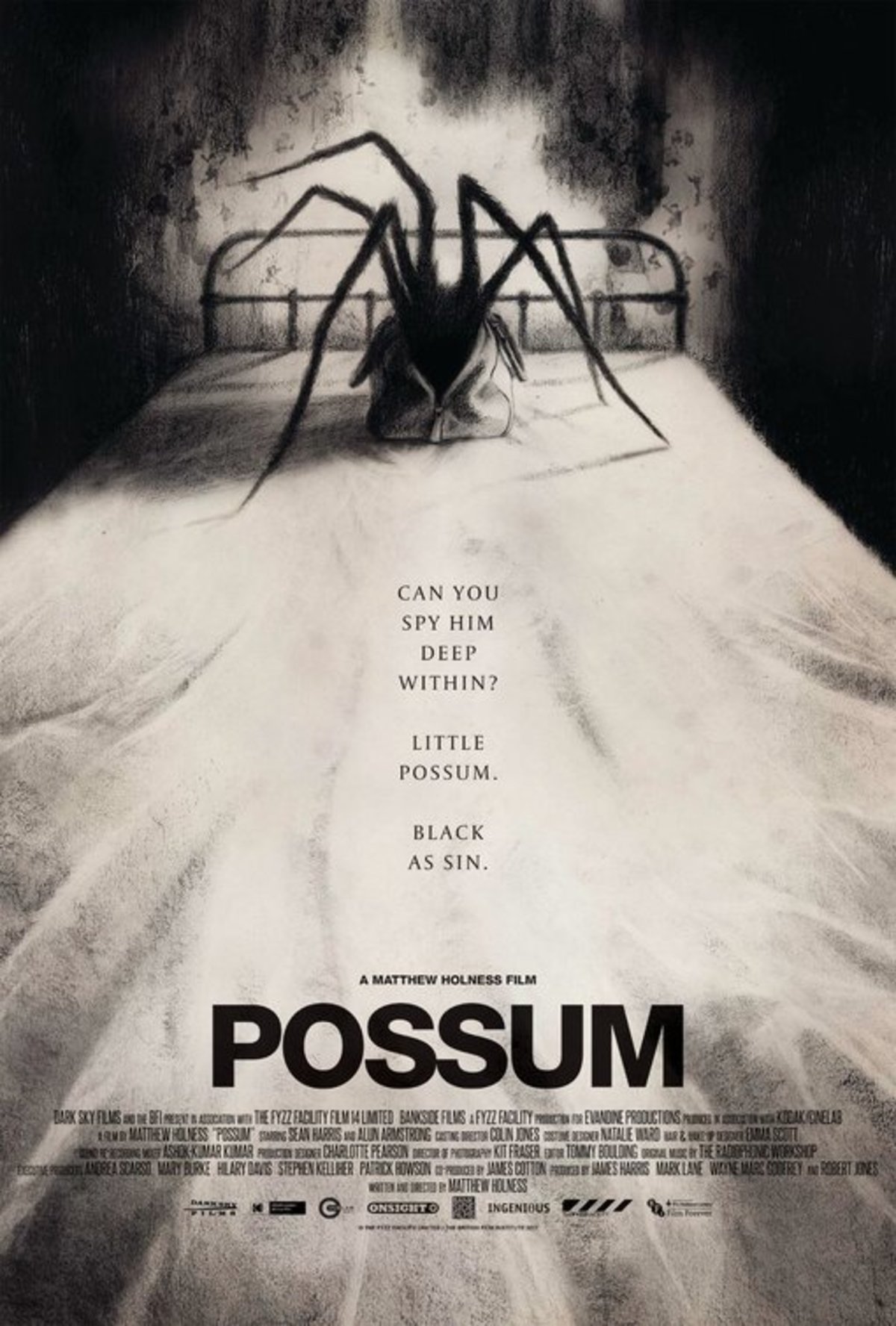 large_603f8977b14bfc4f35bc31ceb5e33ef8-possum.jpg