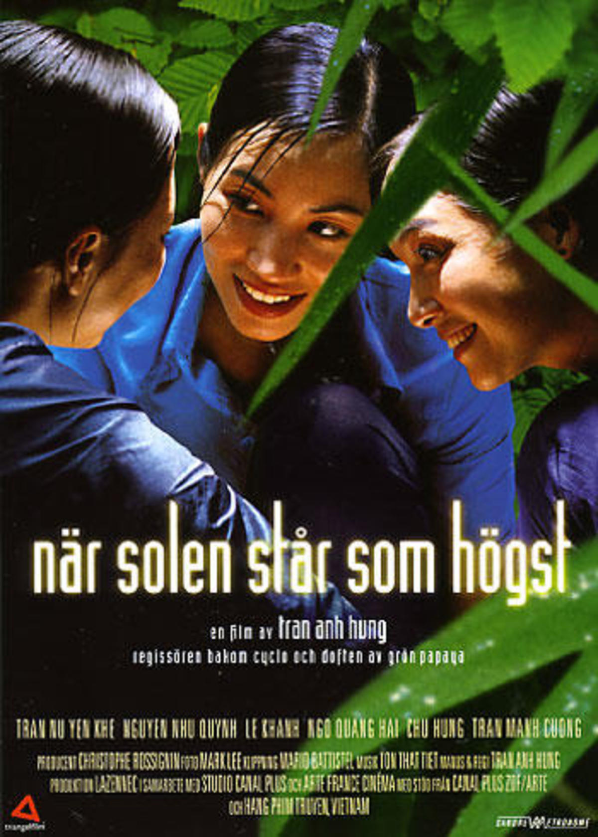 large_6091bb15aef400457fe079636f3d99de-nar_solen_star_som_hogst.jpg