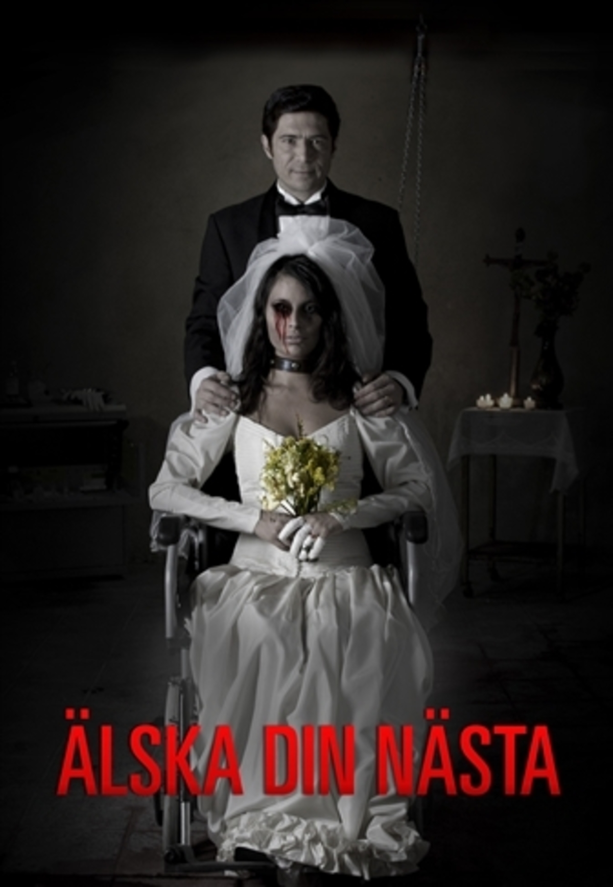 large_6118b49cb9339c66810a68c8c65c5103-alska_din_nasta_video_on_demand.jpg