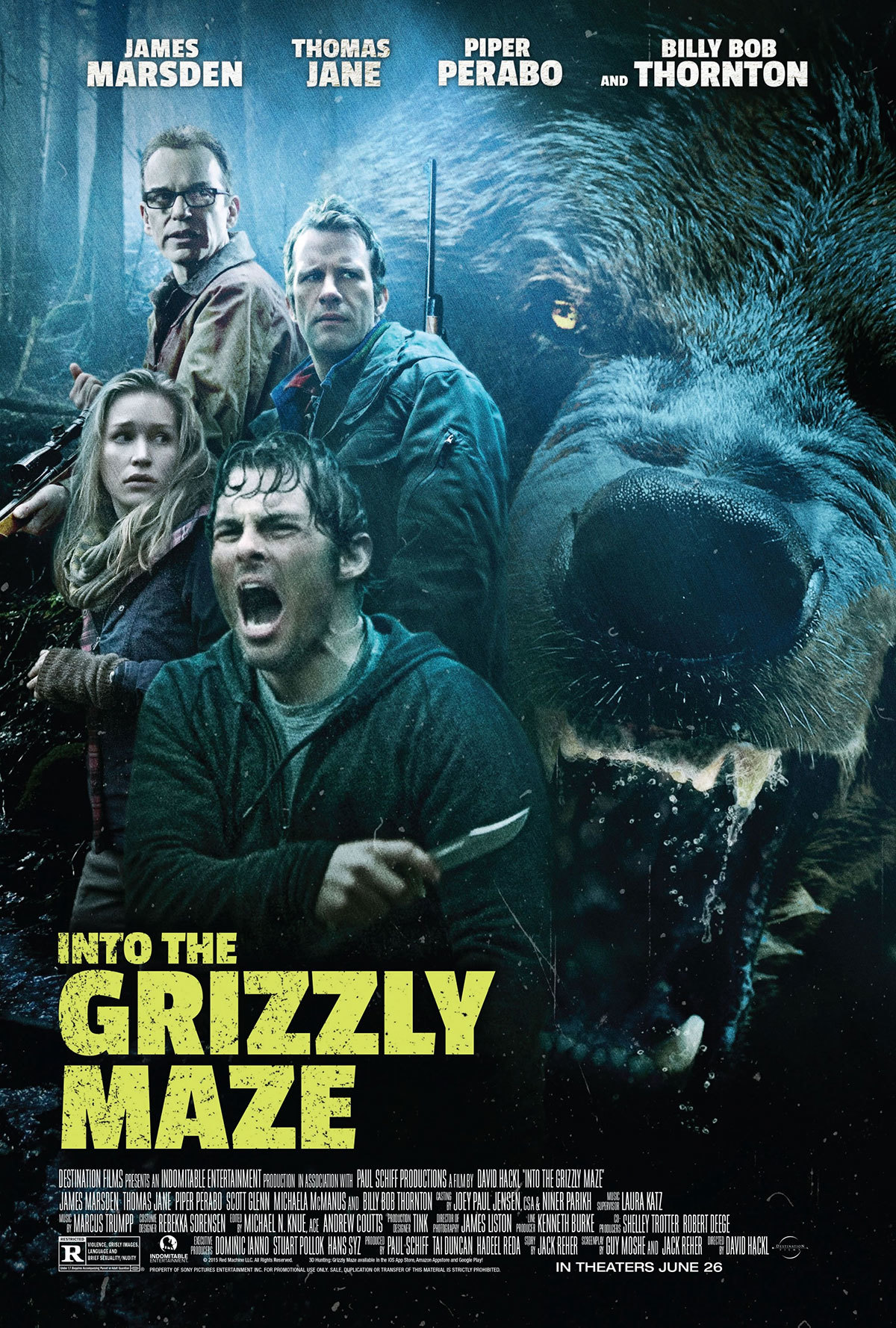 large_662dad4294608ae5afcf2b8f8b1be989-into-the-grizzly-maze-poster.jpg