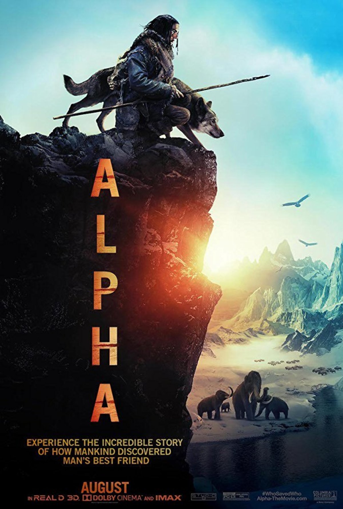 large_66815c79cad3c0bb24e0e47b1d9b1249-alphaposter.jpg