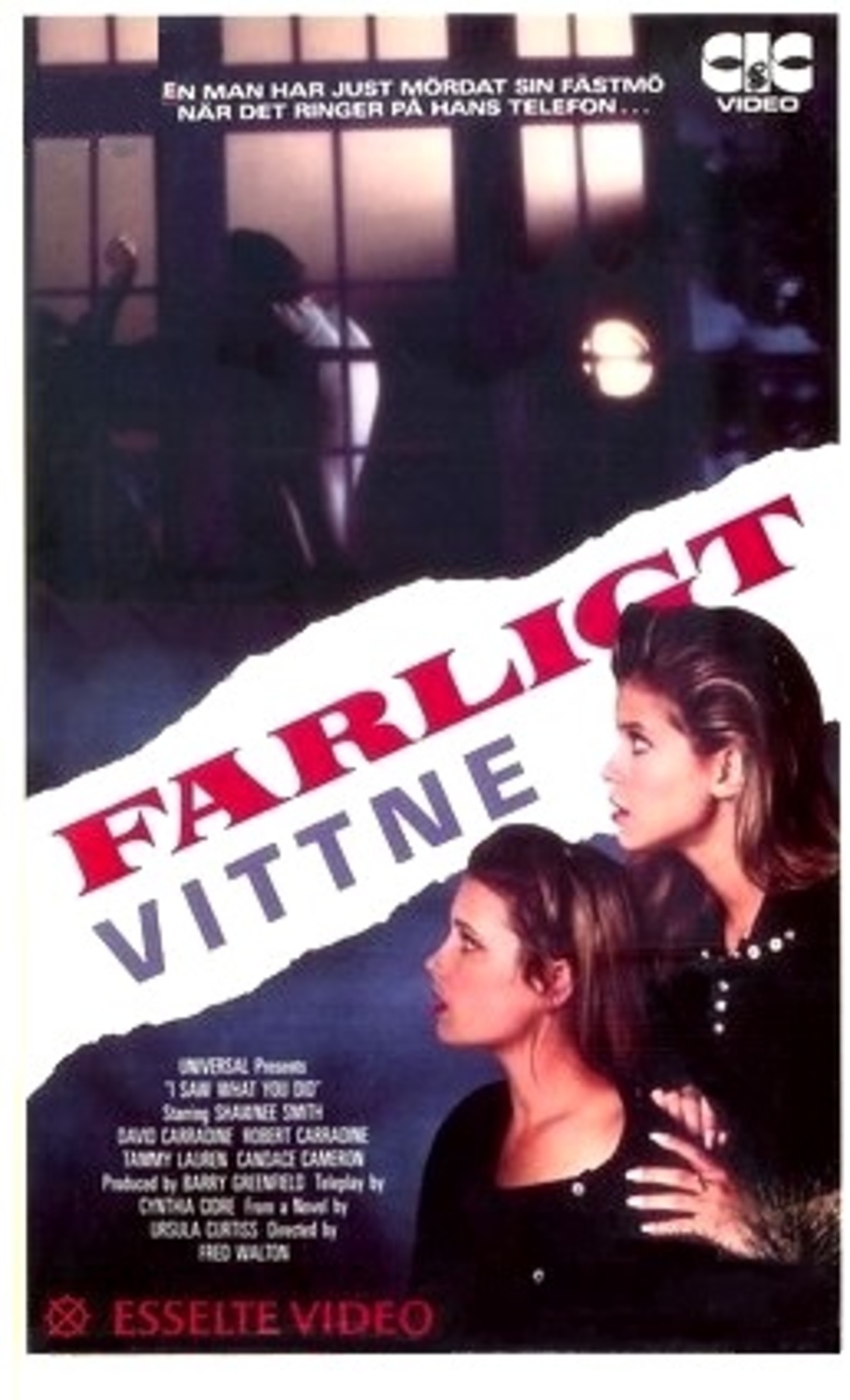 large_678421fa34ba5e5c845af186ef3242fe-Farligt_20vittne.jpg