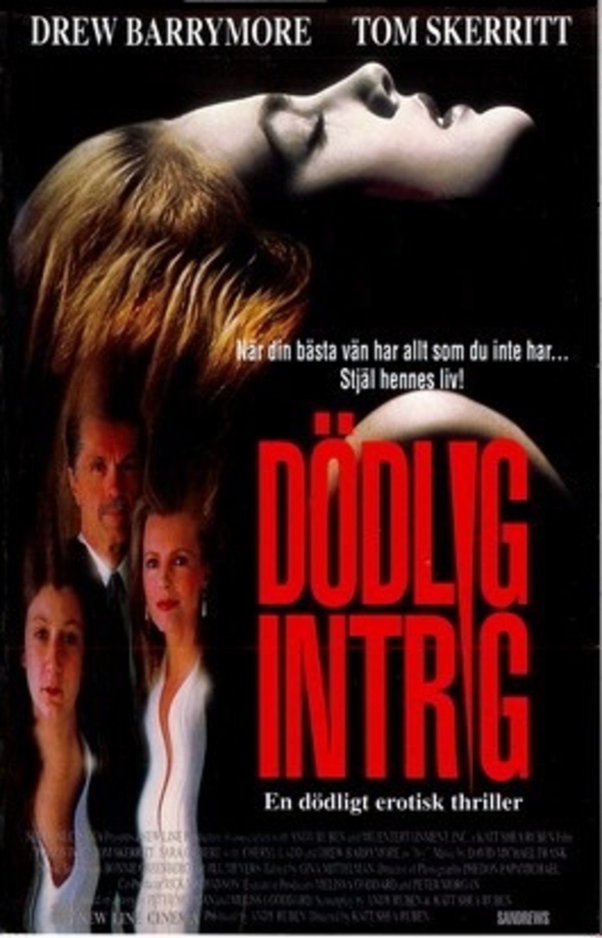 large_67aa6924d1d88552afc708b570a82a69-D_C3_B6dlig_20intrig.jpg