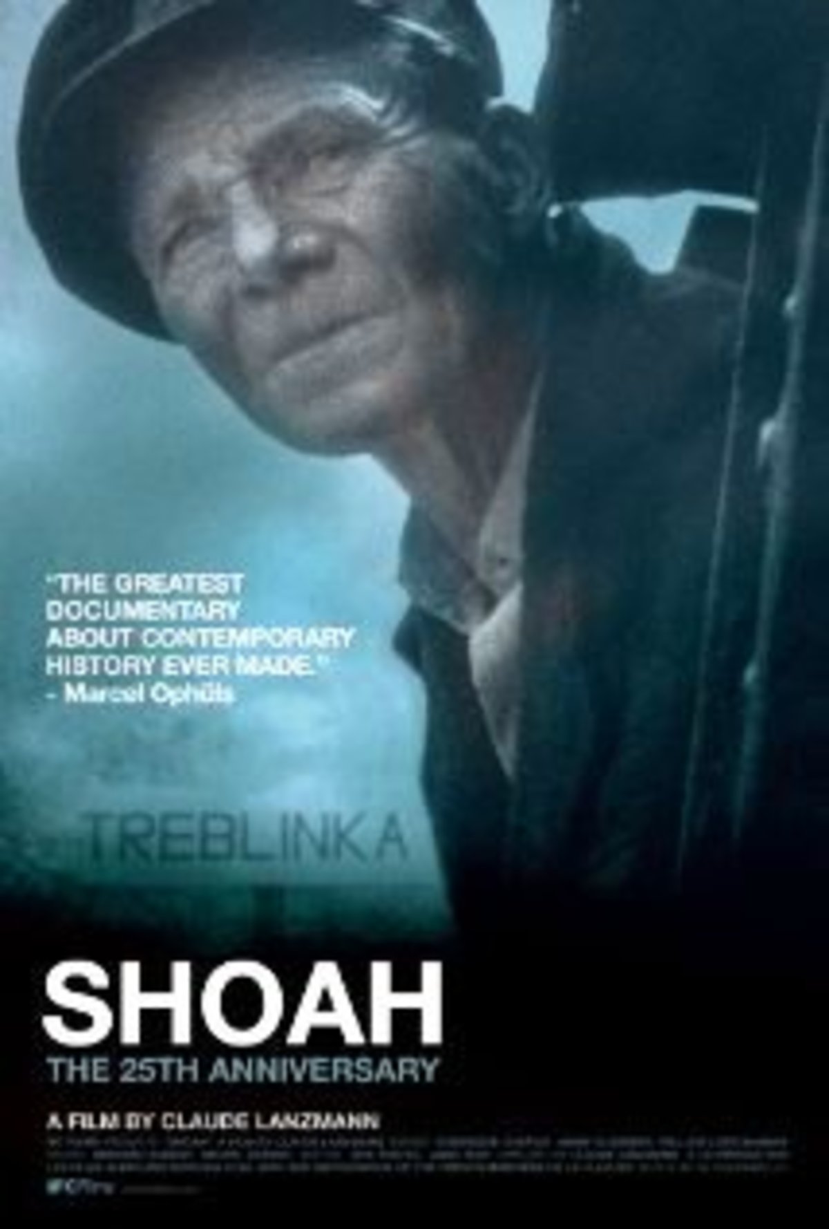large_69bf26672d545f5f25f4d828c86354f8-Shoah.jpg