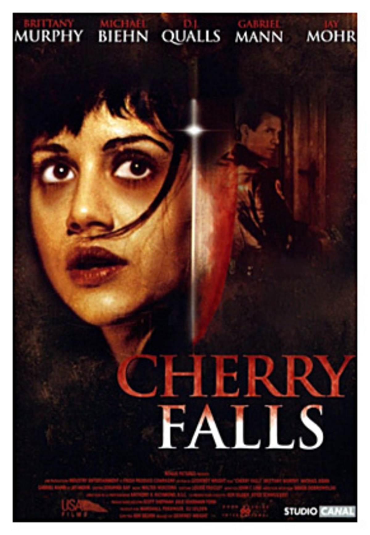 large_69f652508a57a7581e8ef9a4c18d5776-cherry_falls.jpg