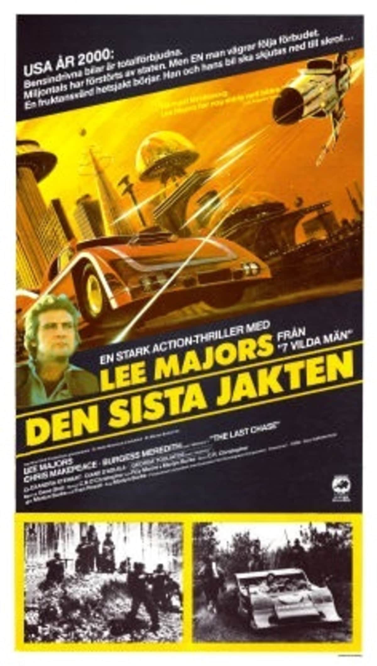 large_6a90bd38f1dc22fc97116c7a113f3fb1-den_sista_jakten_81_i.jpg