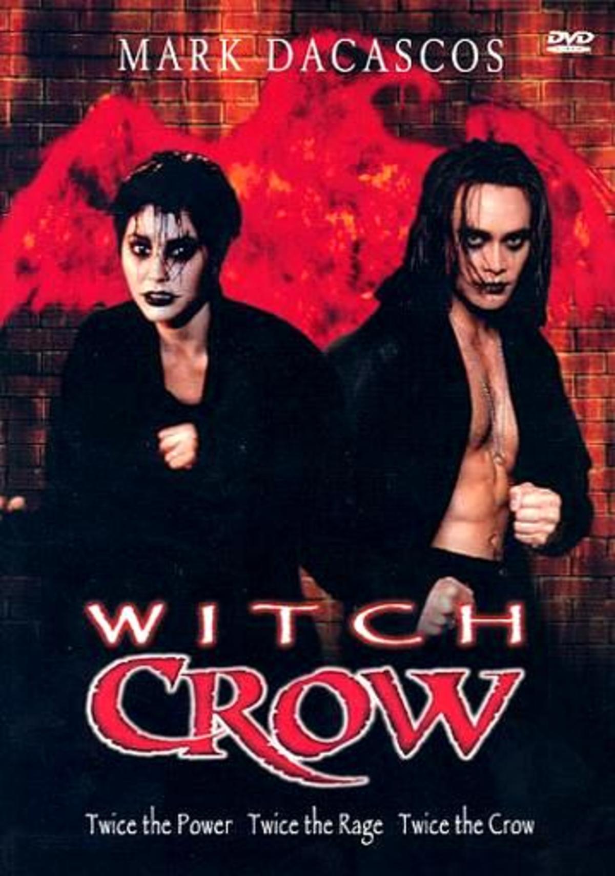 large_6e8782dfec0ecc8e35c90583e08a1eb9-witch_crow.jpg