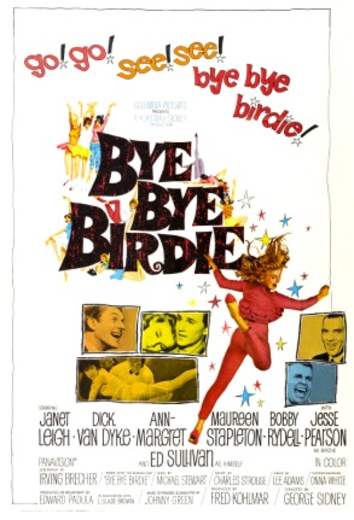 large_6f193f47099980528f47edaa26beb3fe-Bye_20Bye_20Birdie.jpg
