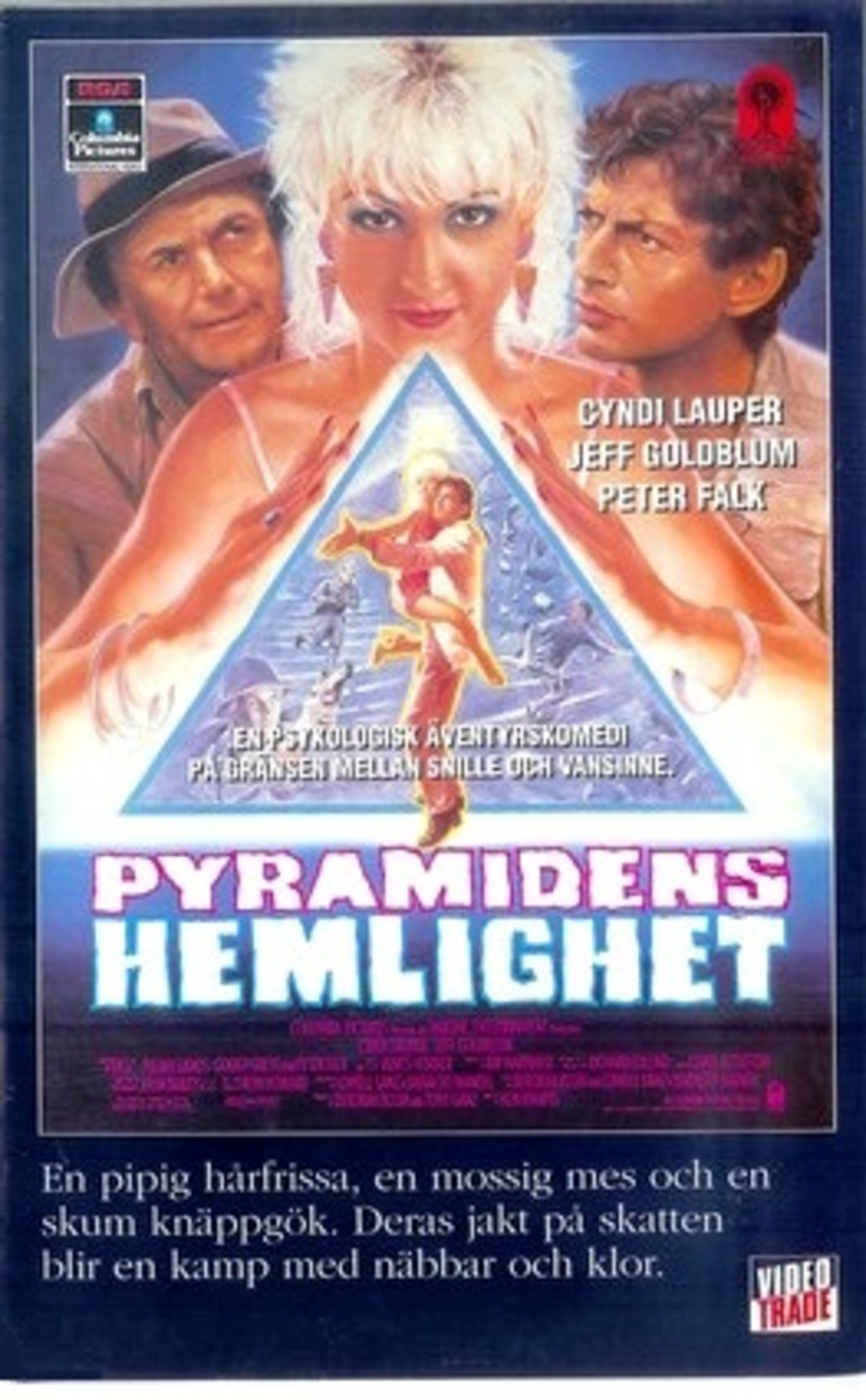 large_70e28104dee99b7fe5d342461c2b6a2c-Pyramidens_20hemlighet_VHS.jpg