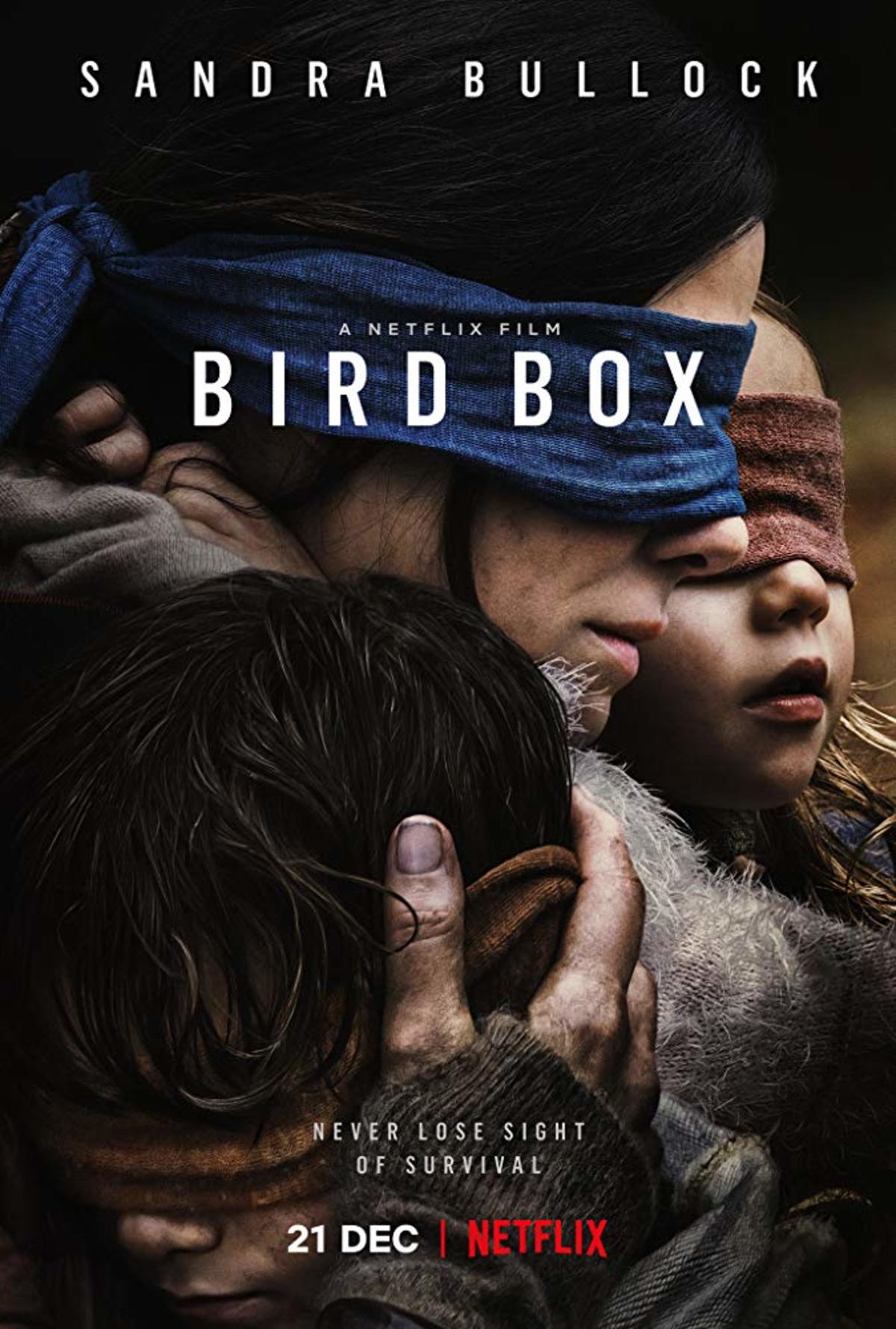 large_710729694fa8a8d639f186cc1f1f5c6e-bird_box_poster.jpg
