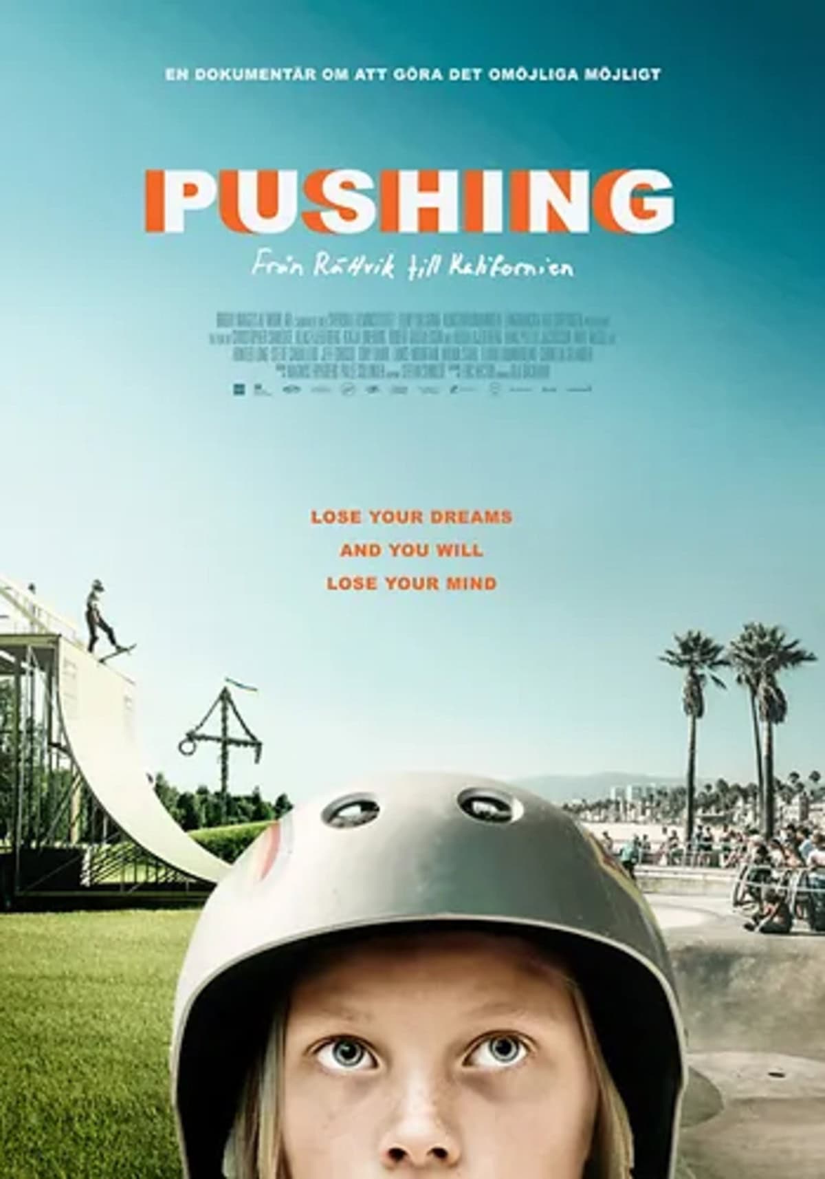 large_72a0a25c38e70980cfda5d7361b936b7-pushing_20SWE.jpg