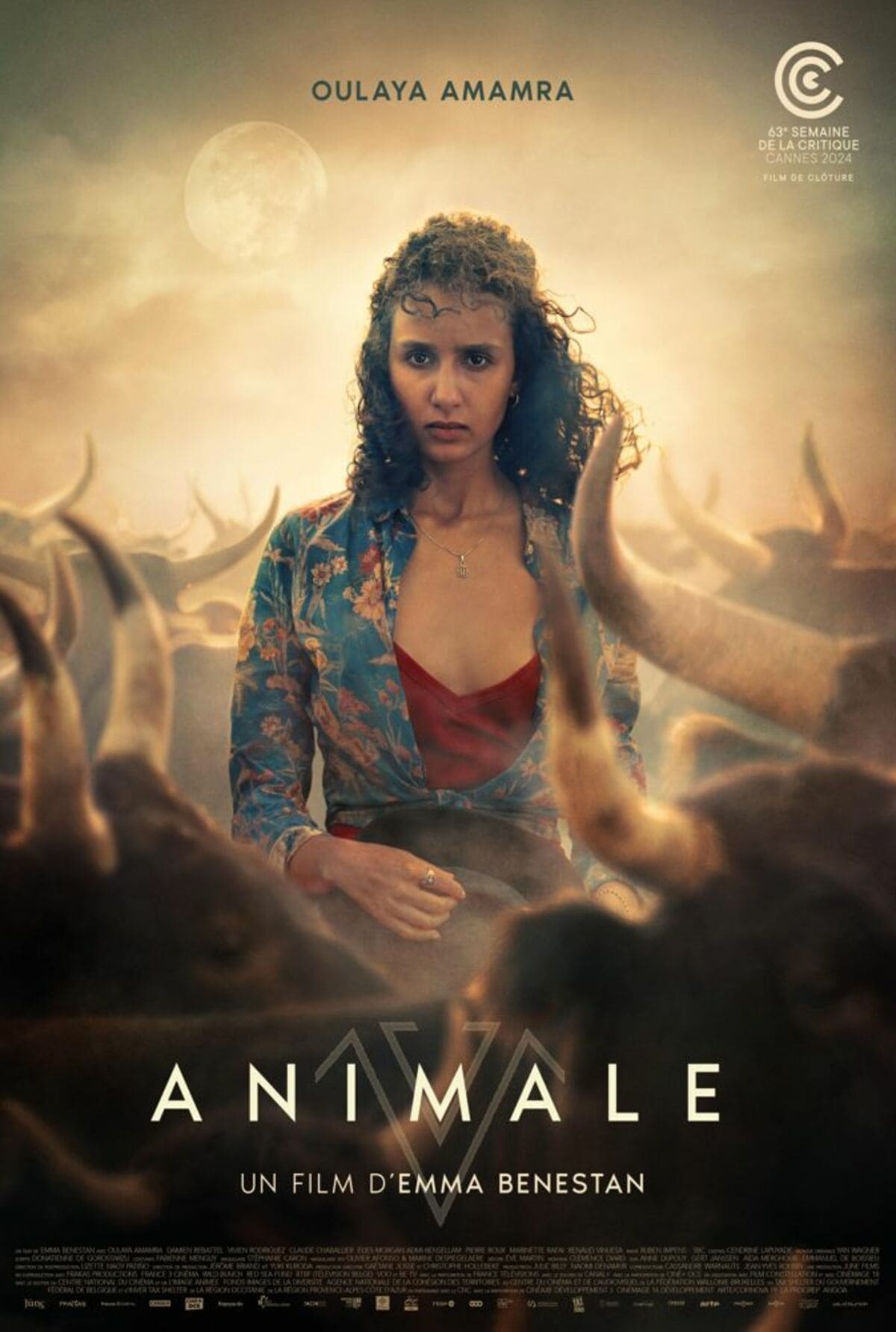 large_730043d21227bd9585bee31667ee09eb-animale_20fix.jpg