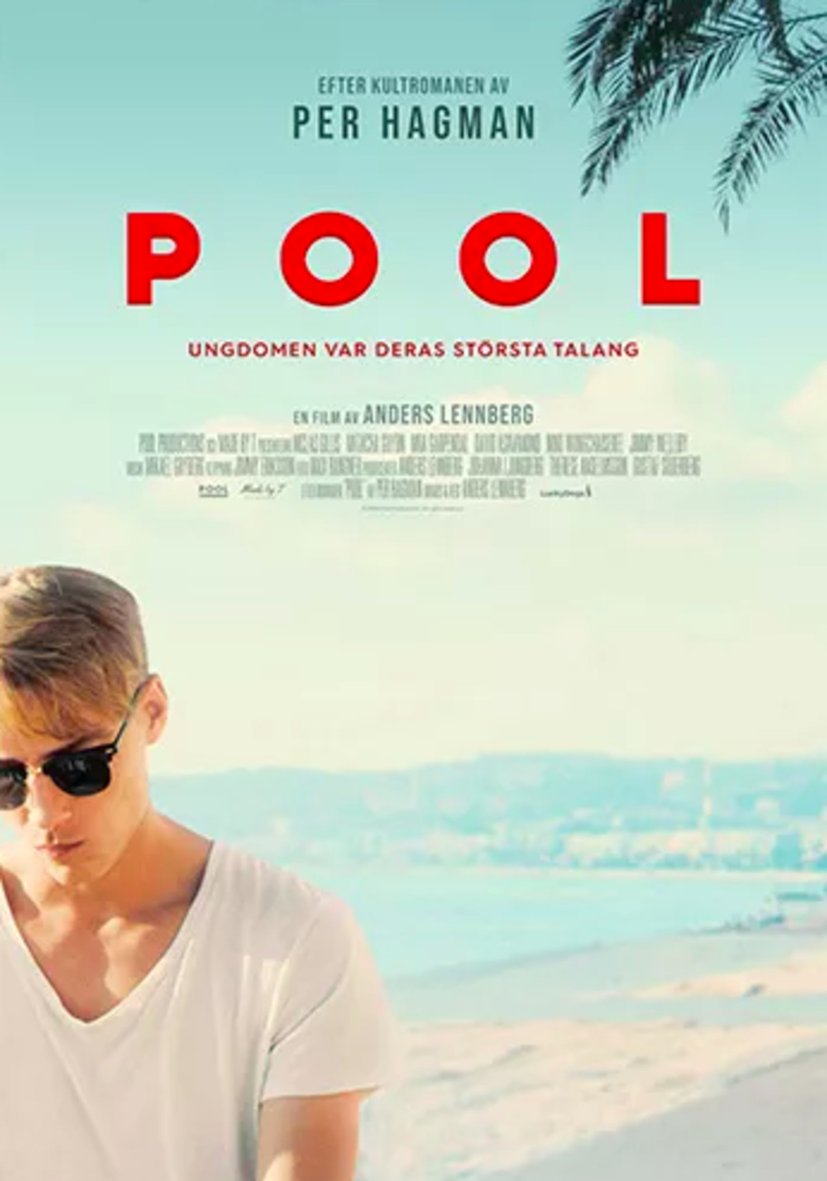 large_7376fcd3a75788d5efd3d2f6e56b6140-pool.png