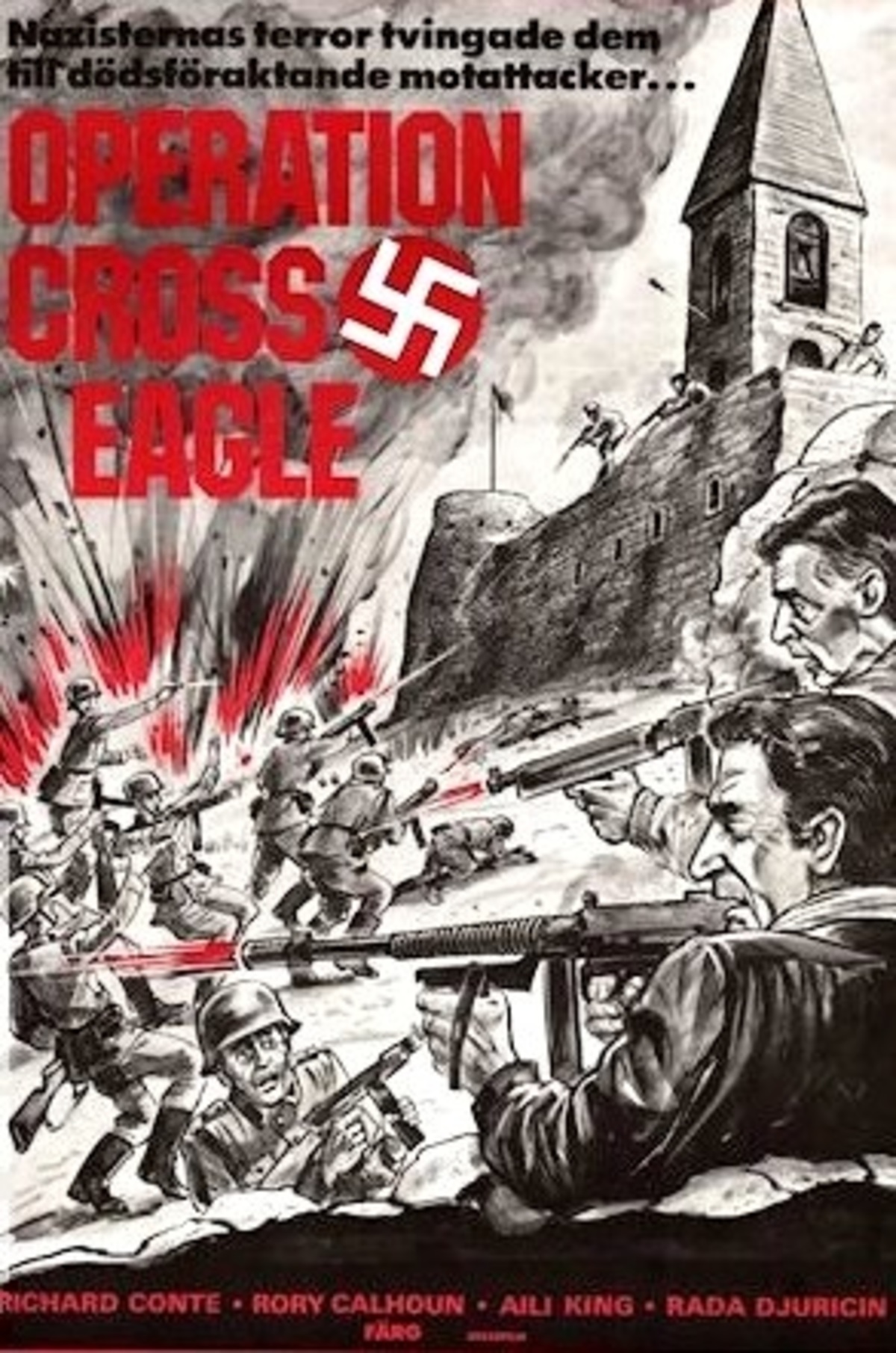 large_78d9de1bbc3bd6b1cfadb0b0799e75db-Operation_20Cross_20Eagles.jpg