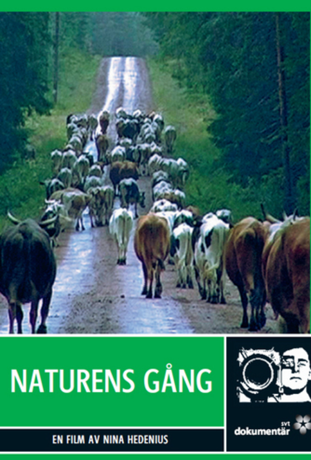 large_7a1a149fa22581ab4b1827e29e2a2cb2-naturens_gang.jpg
