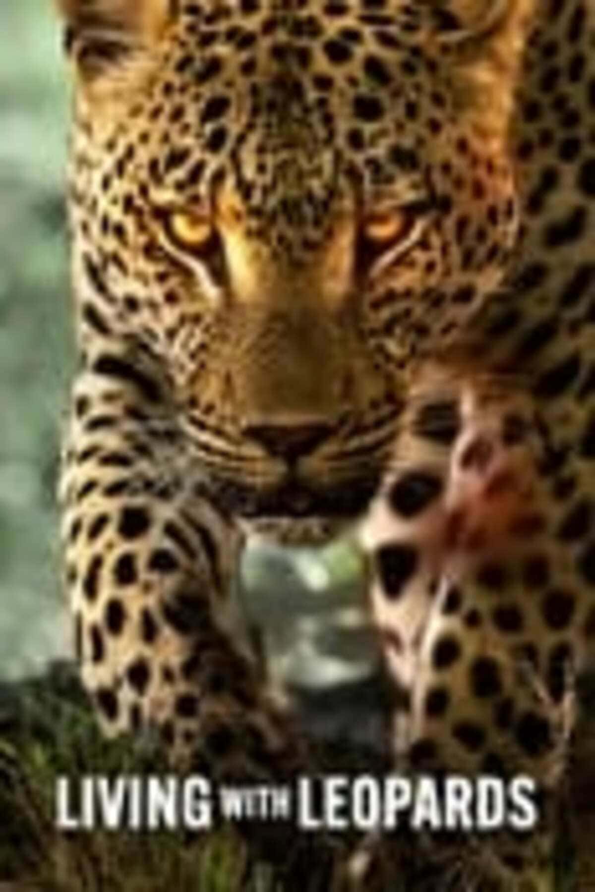 large_7a6865ba673320a781a3b3a55c343264-9696A4B0-7949-4F2C-AAD8-5EB88CCE4102.jpeg