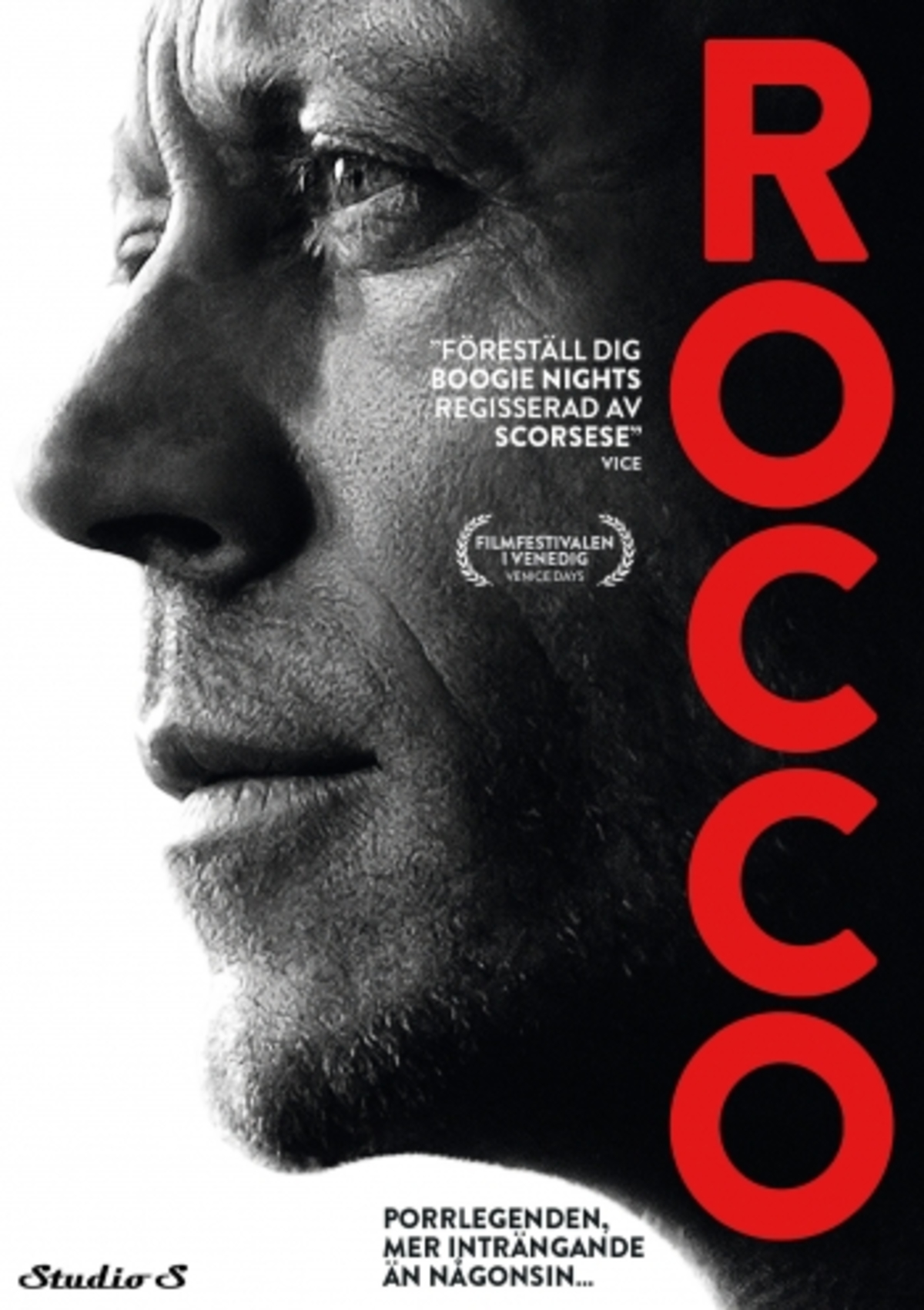 large_7b787aec605c5a2d4486fbef2734fa4e-rocco.jpg