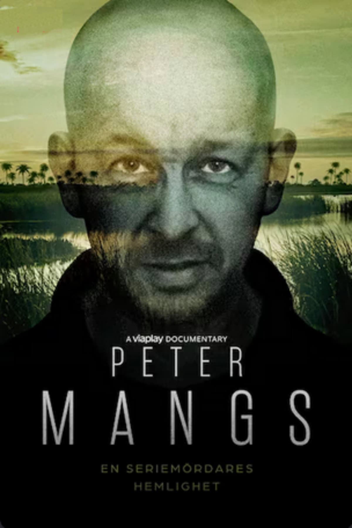 large_7bab61887650446f7aea8aa4aff2646e-Peter_20Mangs_20_E2_80_93_20en_20seriem_C3_B6rdares_20hemlighet.png