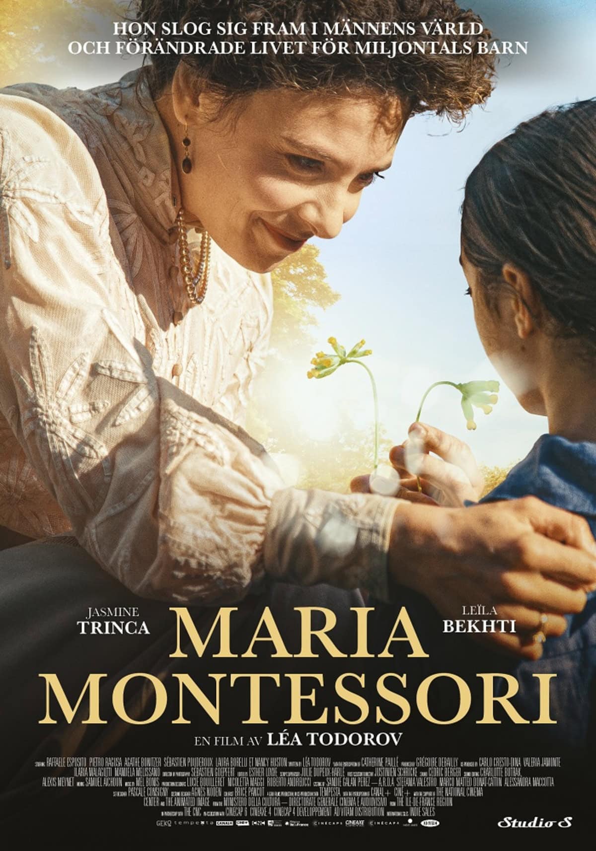 large_7d1284e952aea3d7afc959275b01db4a-Maria_Montessori_70x100-FINAL-1.jpg