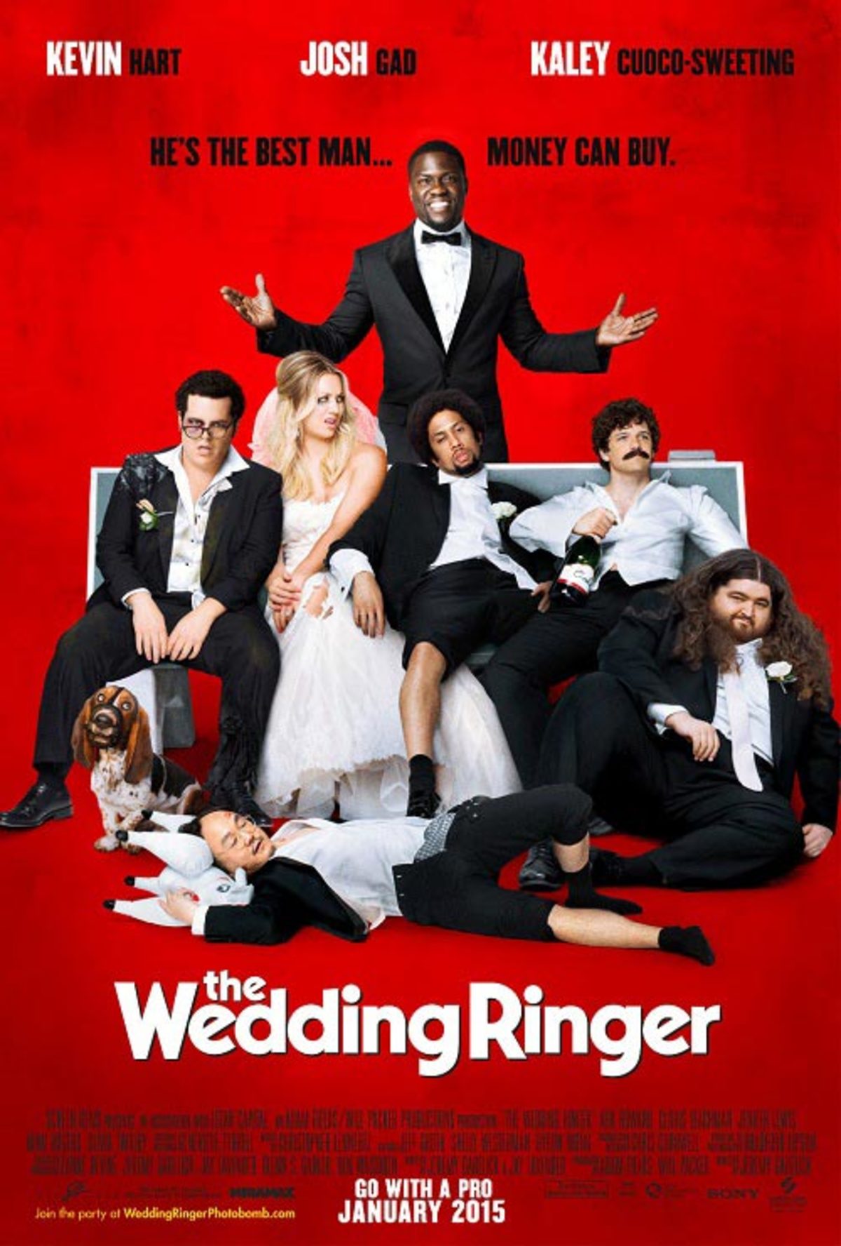 large_7e470ba201344c40b5cbd595ba9da60c-weddingringer-poster.jpg