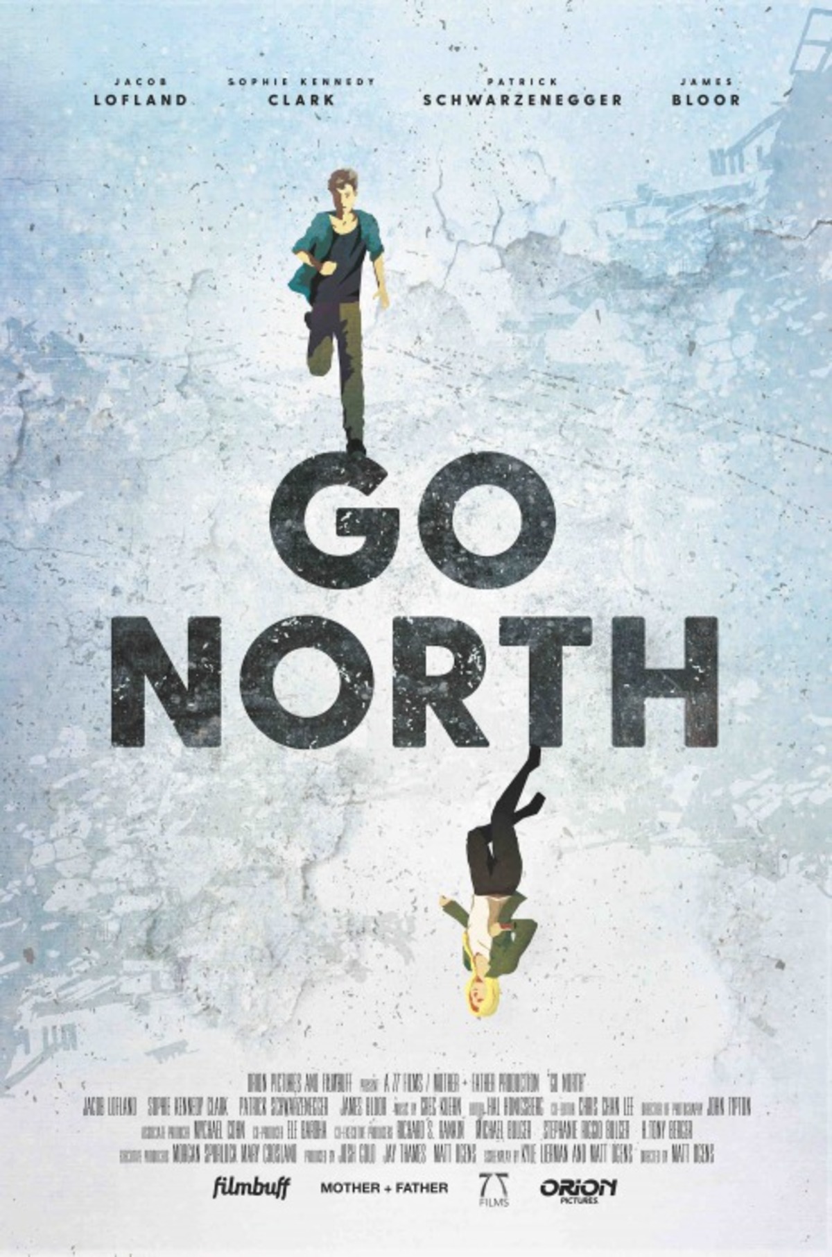 large_7e721df00e1a1daaf699b8617f25e148-go_north.jpg