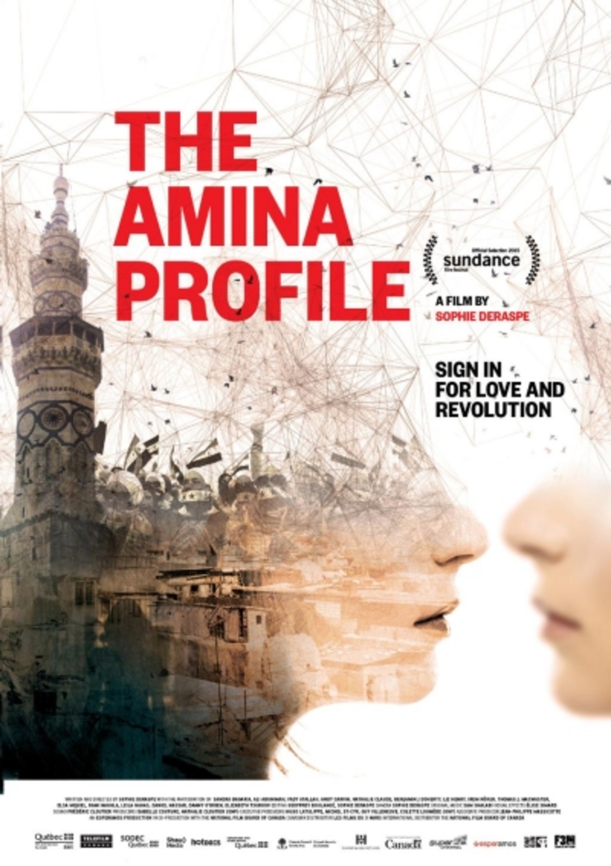 large_7eadc62a43a371f5abe798d5e639473b-The_20Amina_20Profile_20poster.jpg