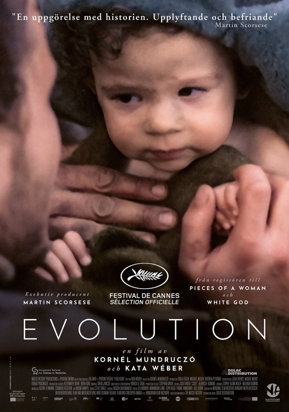 large_806856399f89d2e36e30373fb93d186a-Evolution-70x100-1.jpg